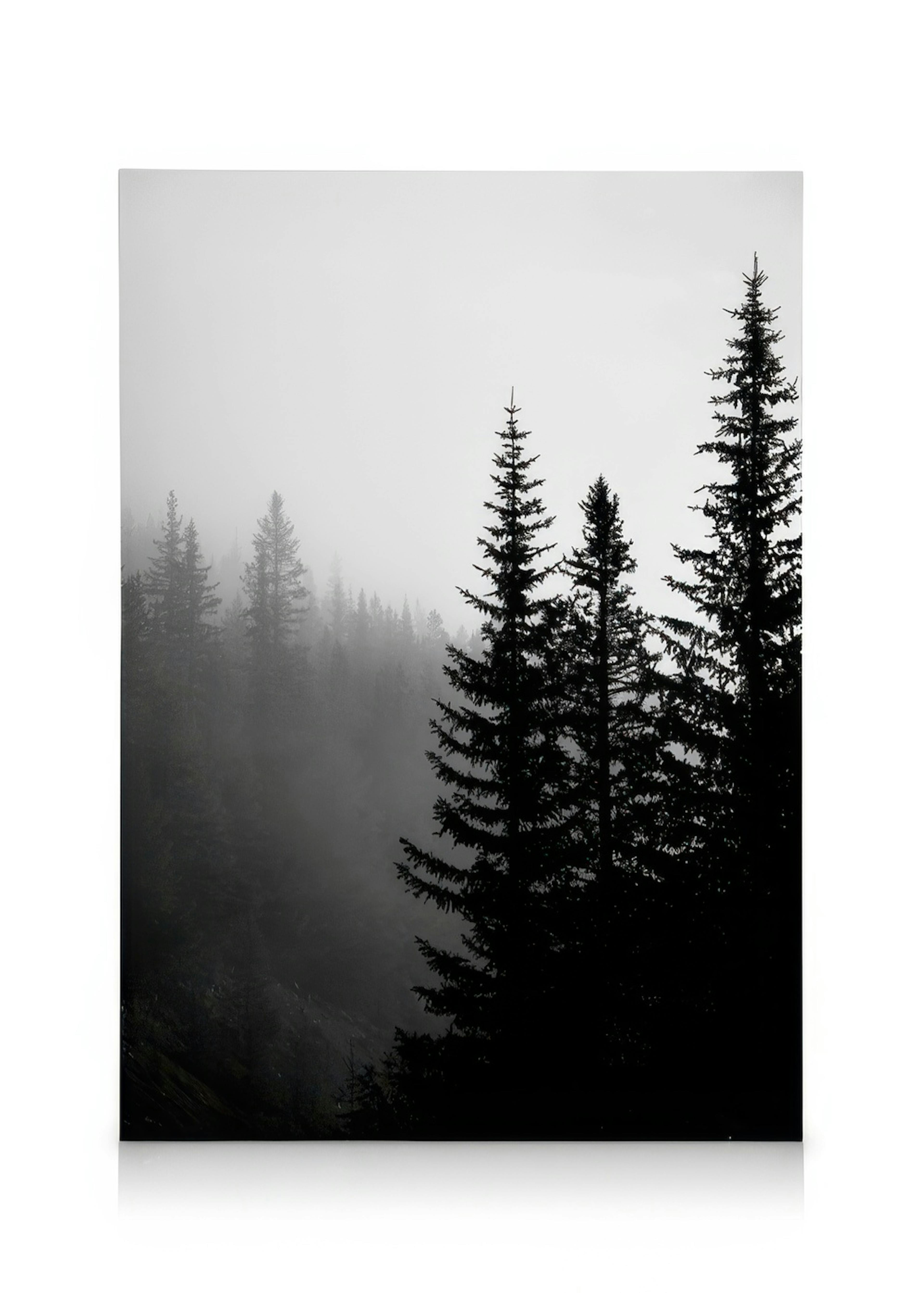 Tree Tops B&W Canvastavla 0