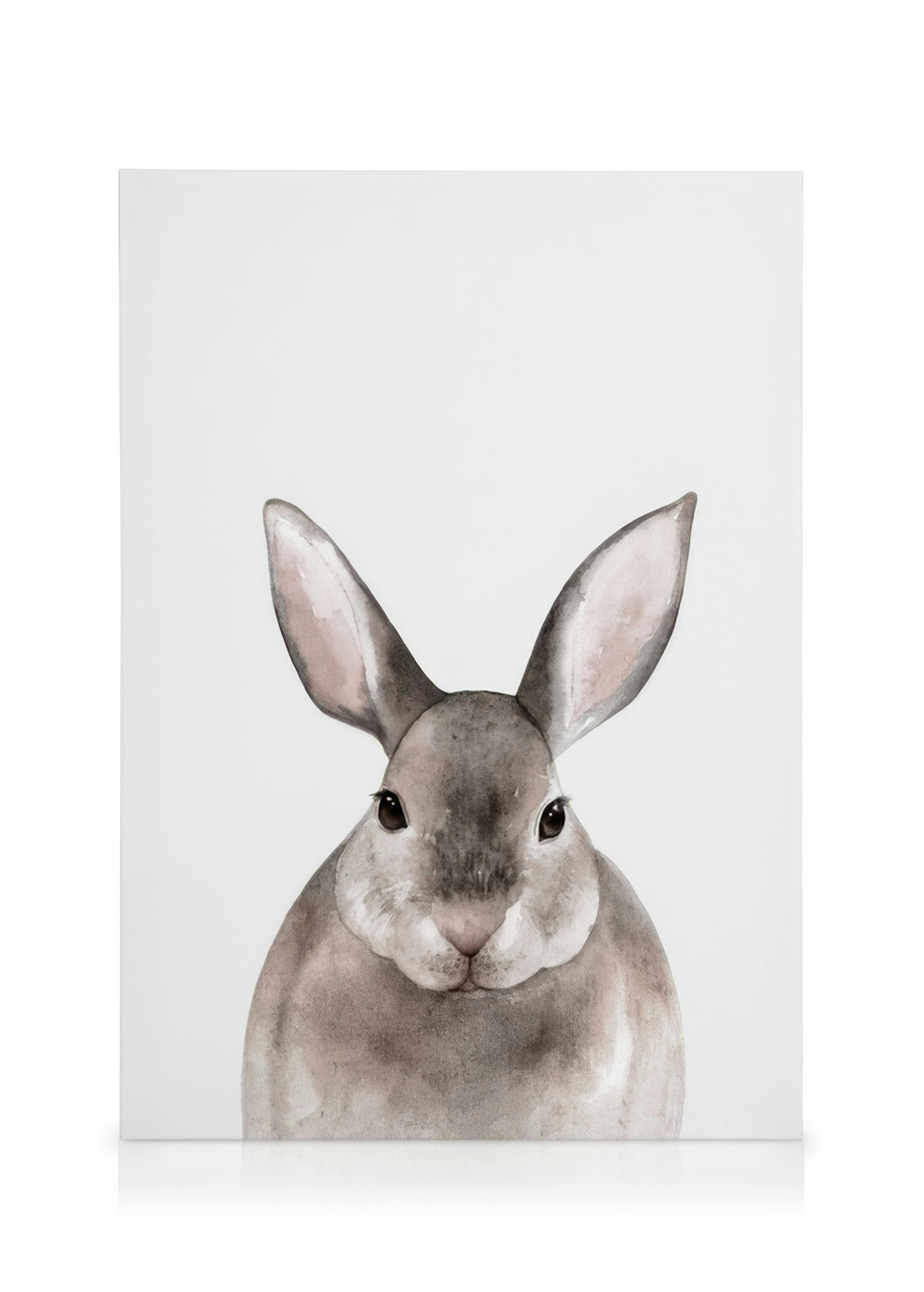 Little Rabbit Tableau sur toile 0