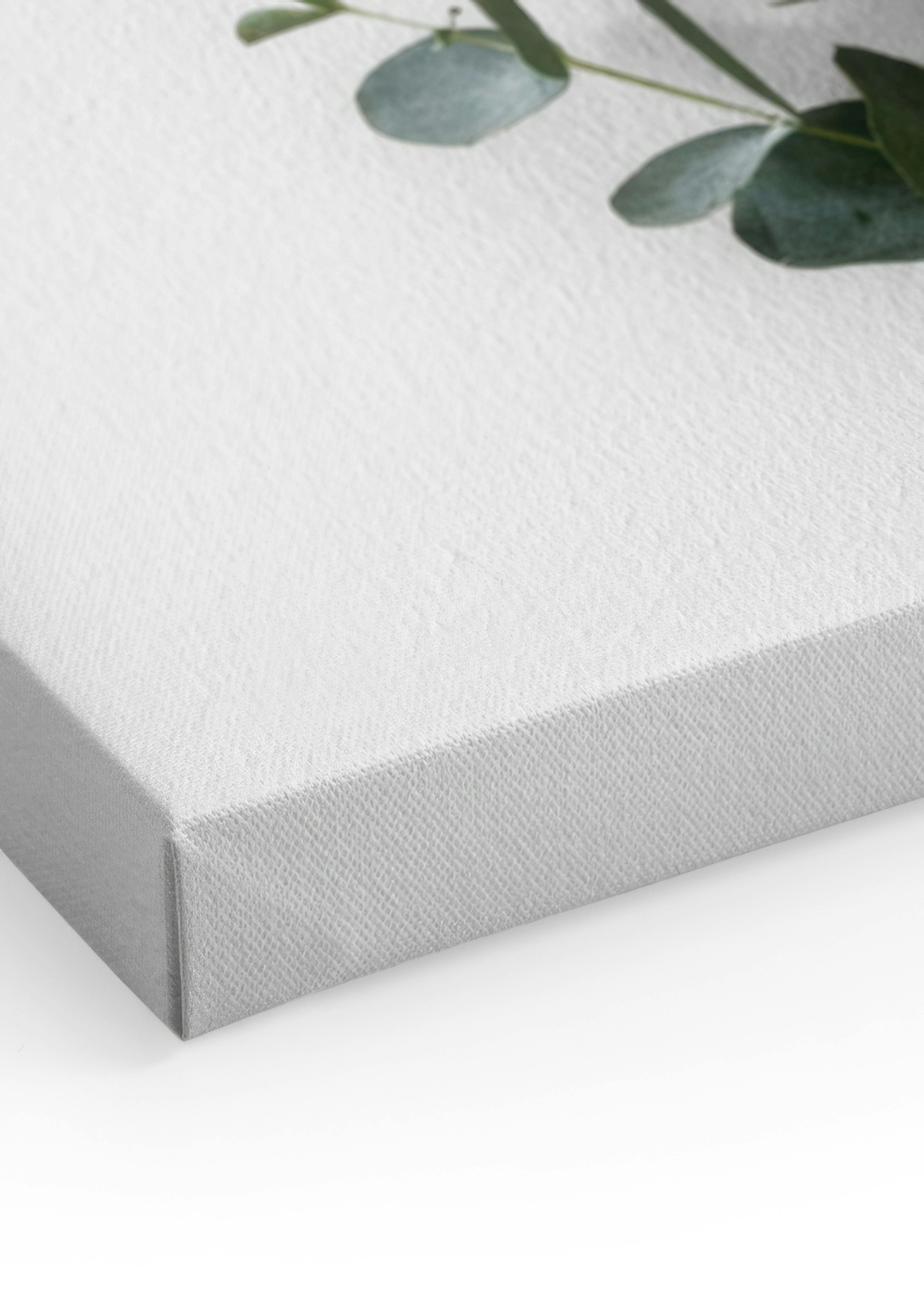 Eucalyptus Branch Two Canvas print