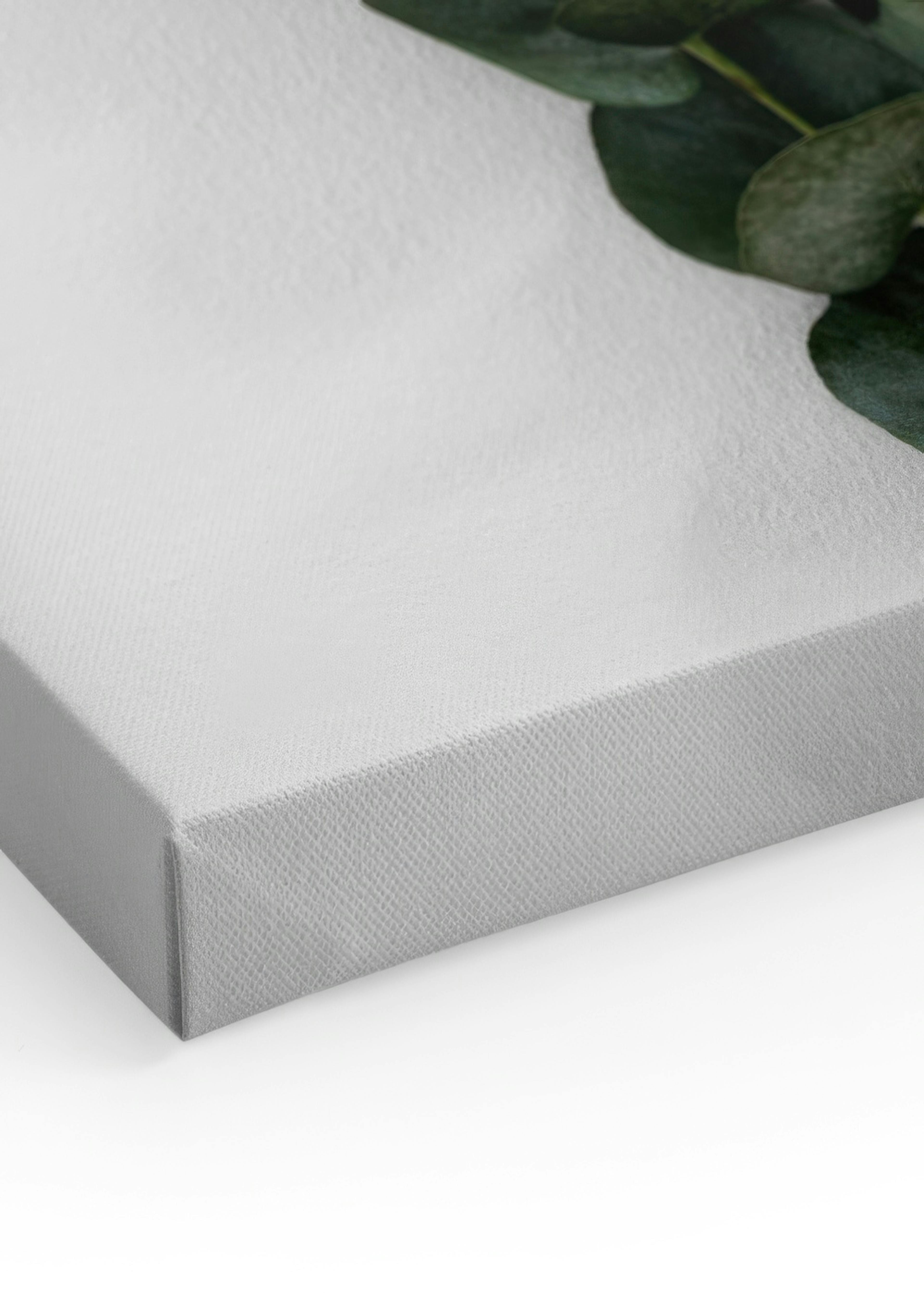 Eucalyptus Branch Three Canvas print