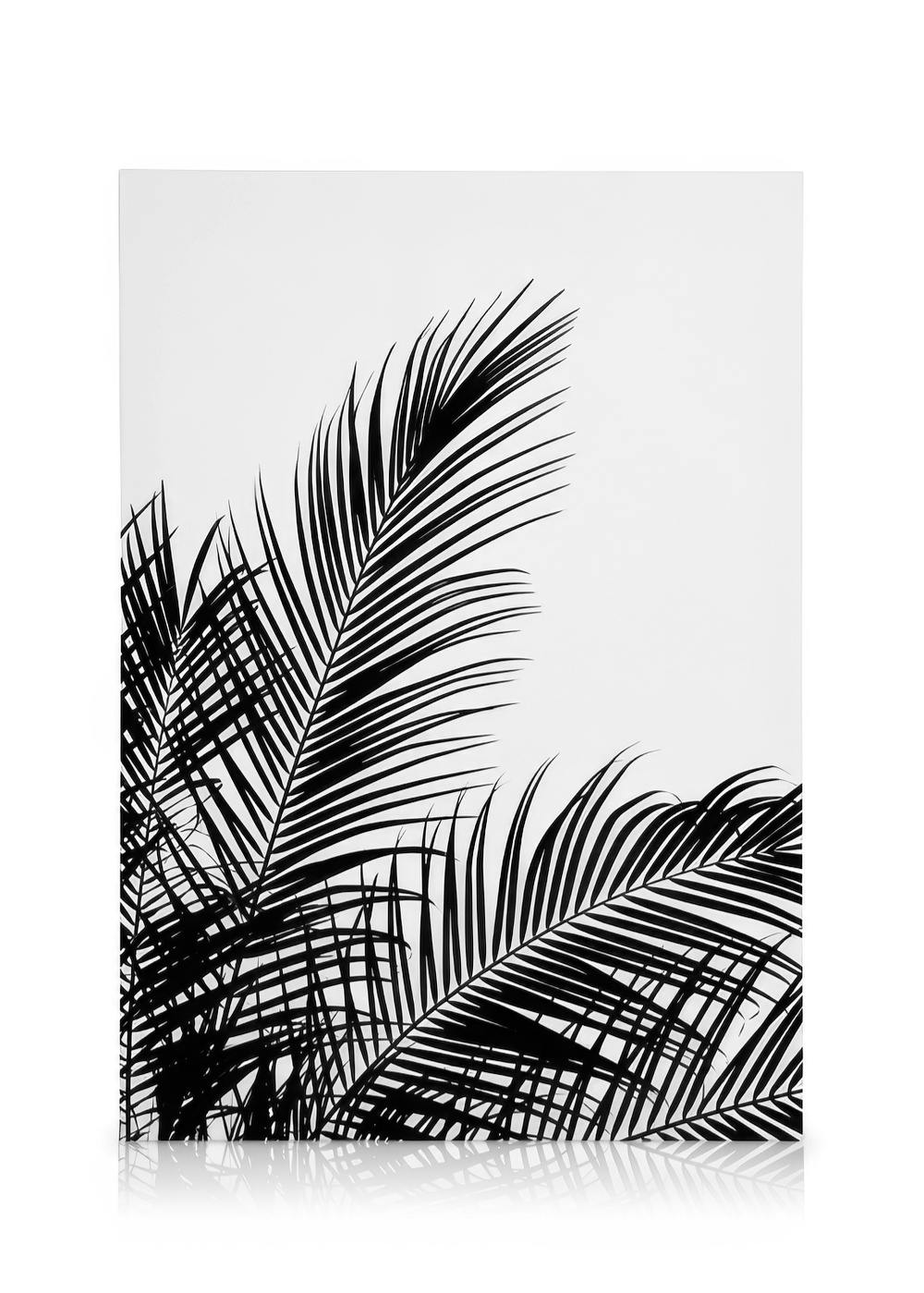 Lienzo blanco y negro con hojas de palmera, siluetas nítidas y contornos delgados, arte botánico.