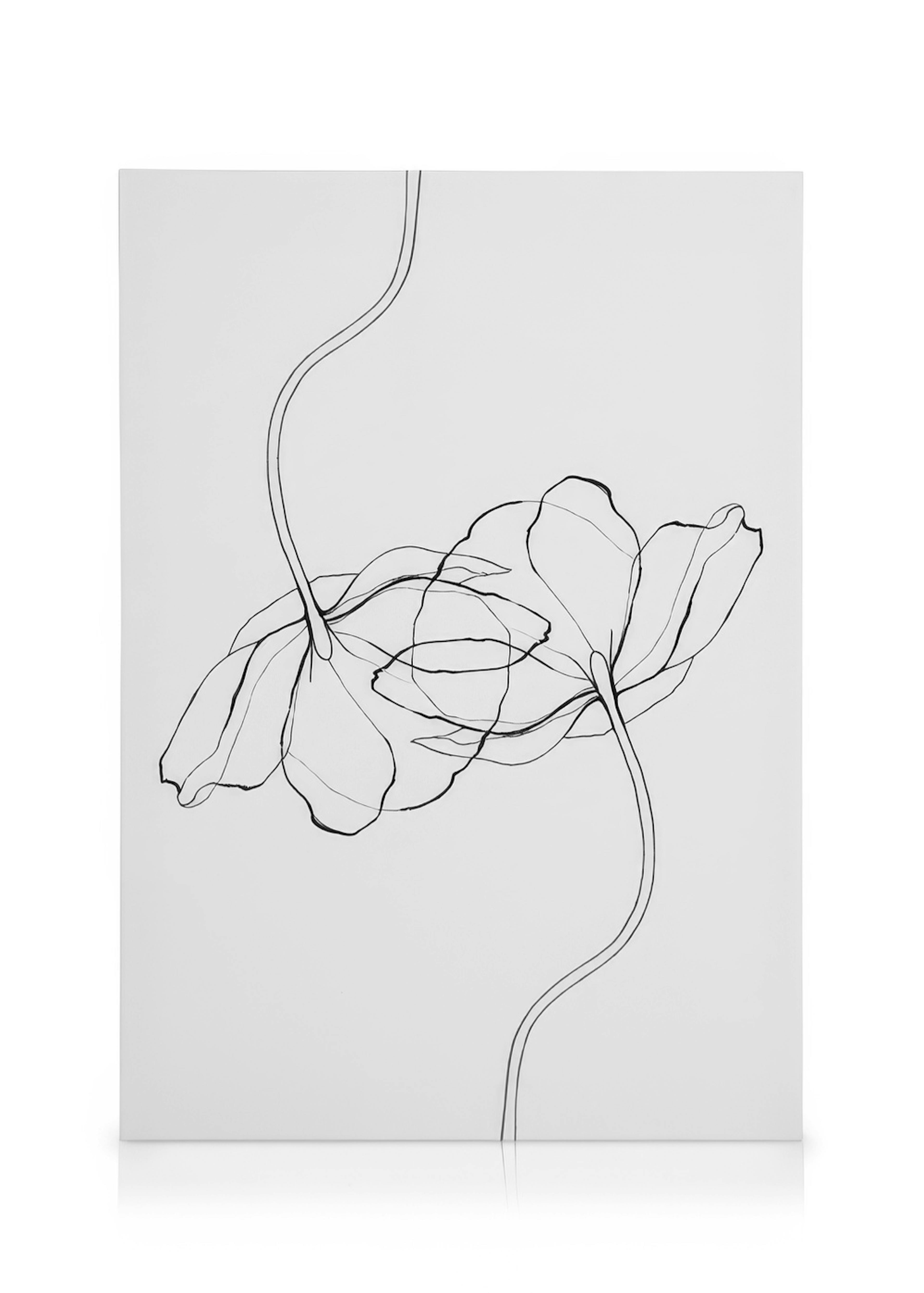 Line Poppies Lienzo 0