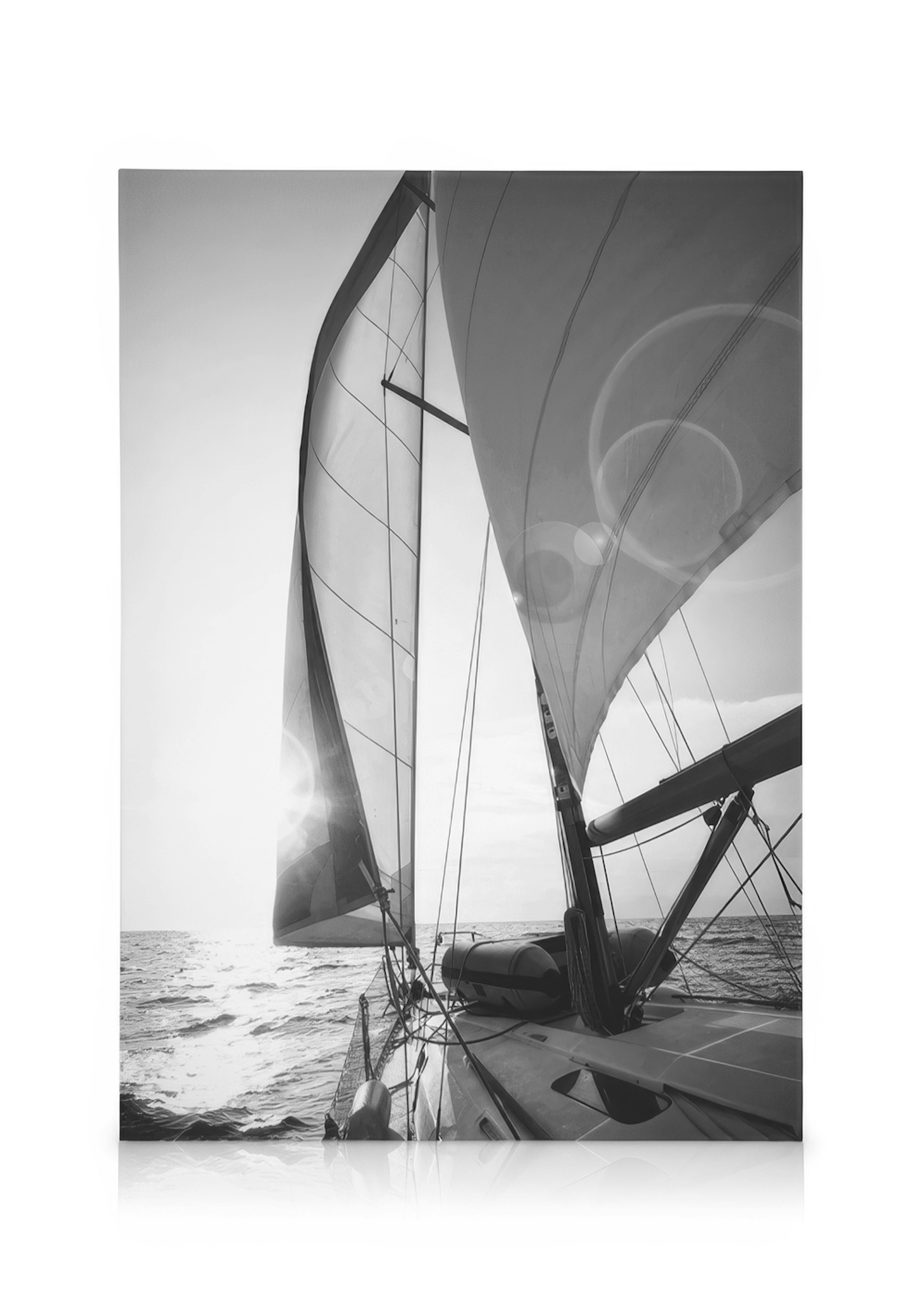 Sailing Obraz na plátne 0