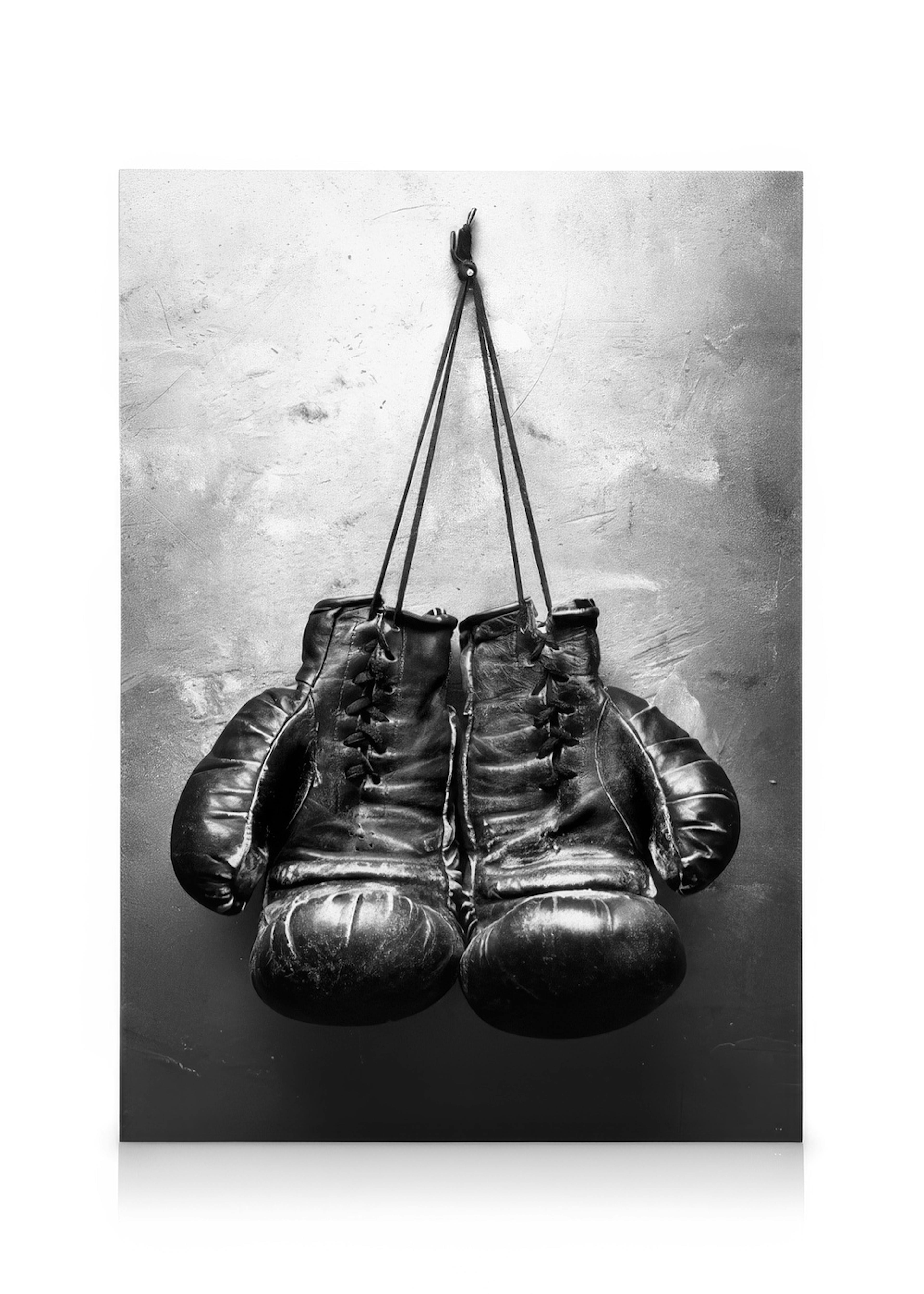 Boxer Toile 0