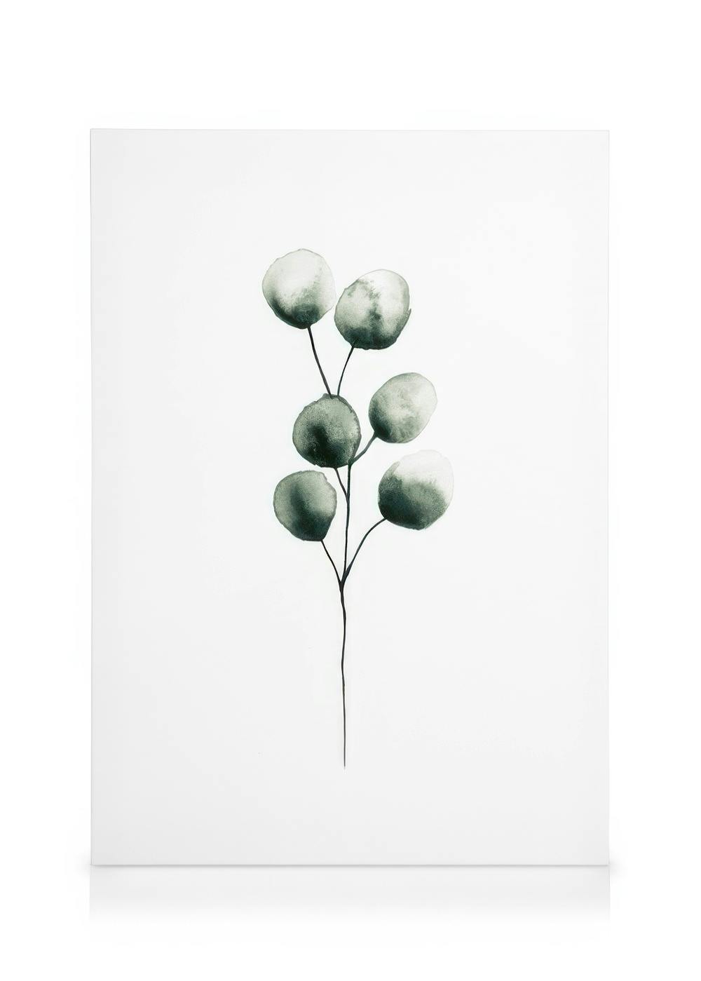Canvas Prints Eucalyptus Plant Canvas print (30x40 cm - Black Frame)