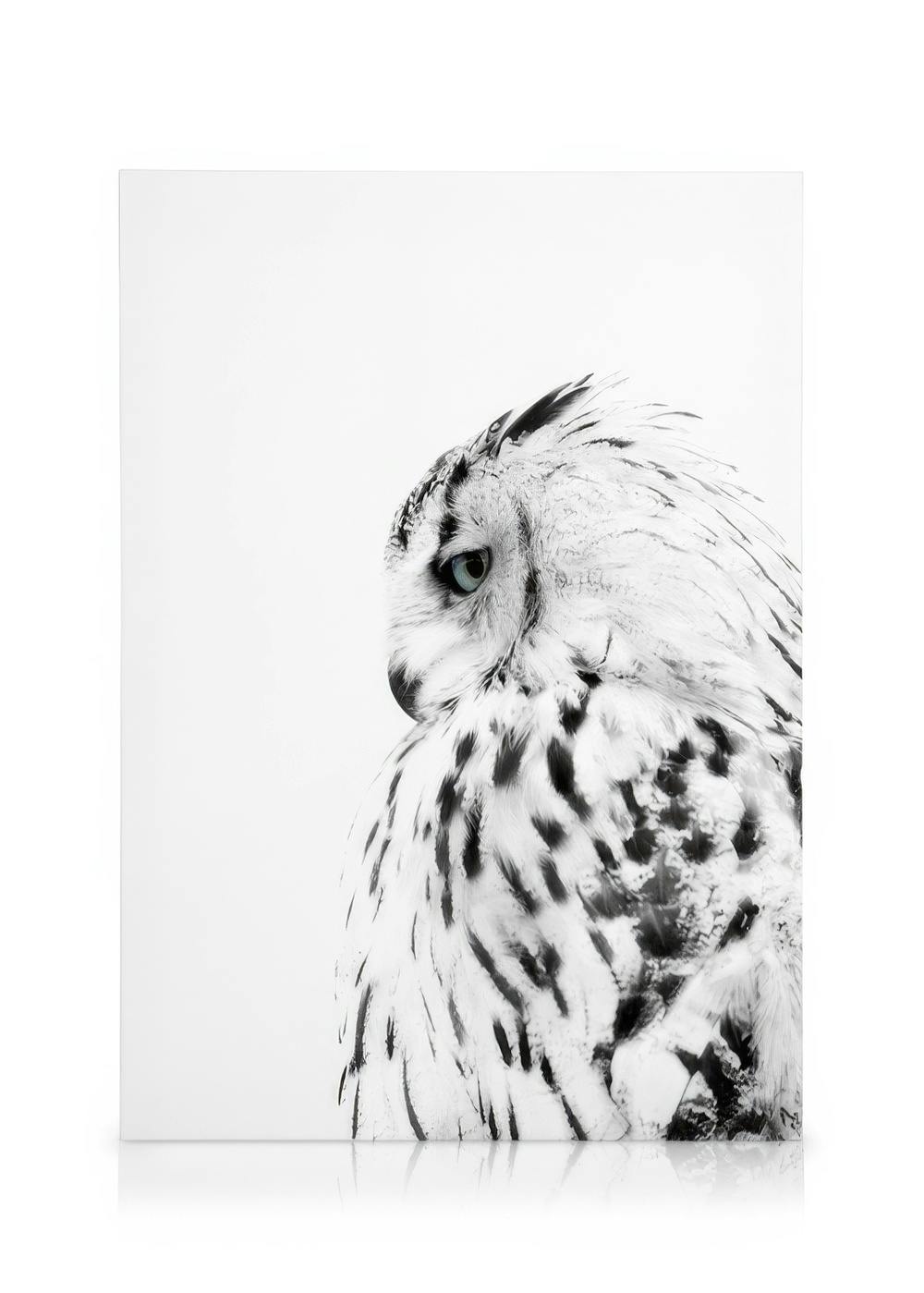 Svartvit canvastavla av en uggla med ljusgröna ögon, vänd åt sidan med detaljerade fjädrar.