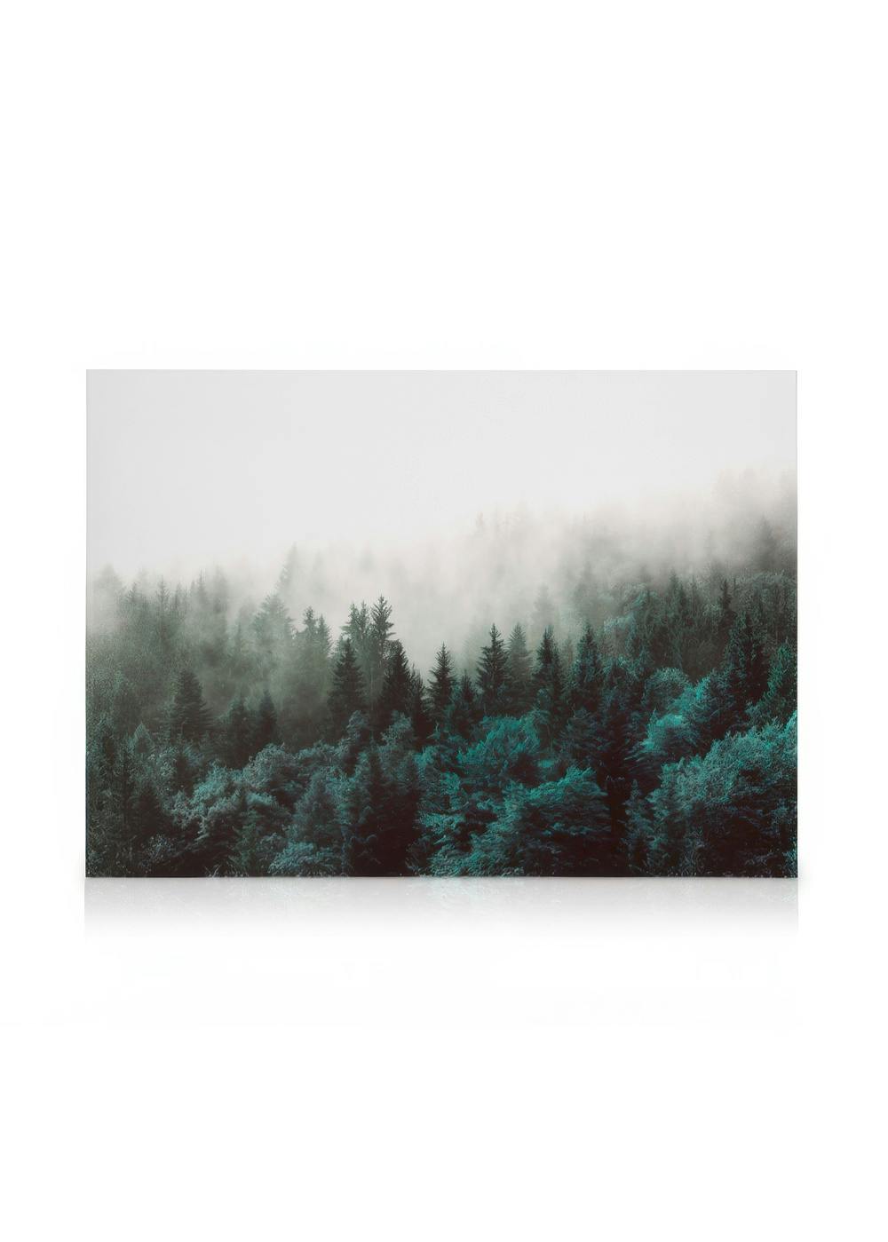 Leinwandbilder Green Forest Leinwandbild (30x40 cm)