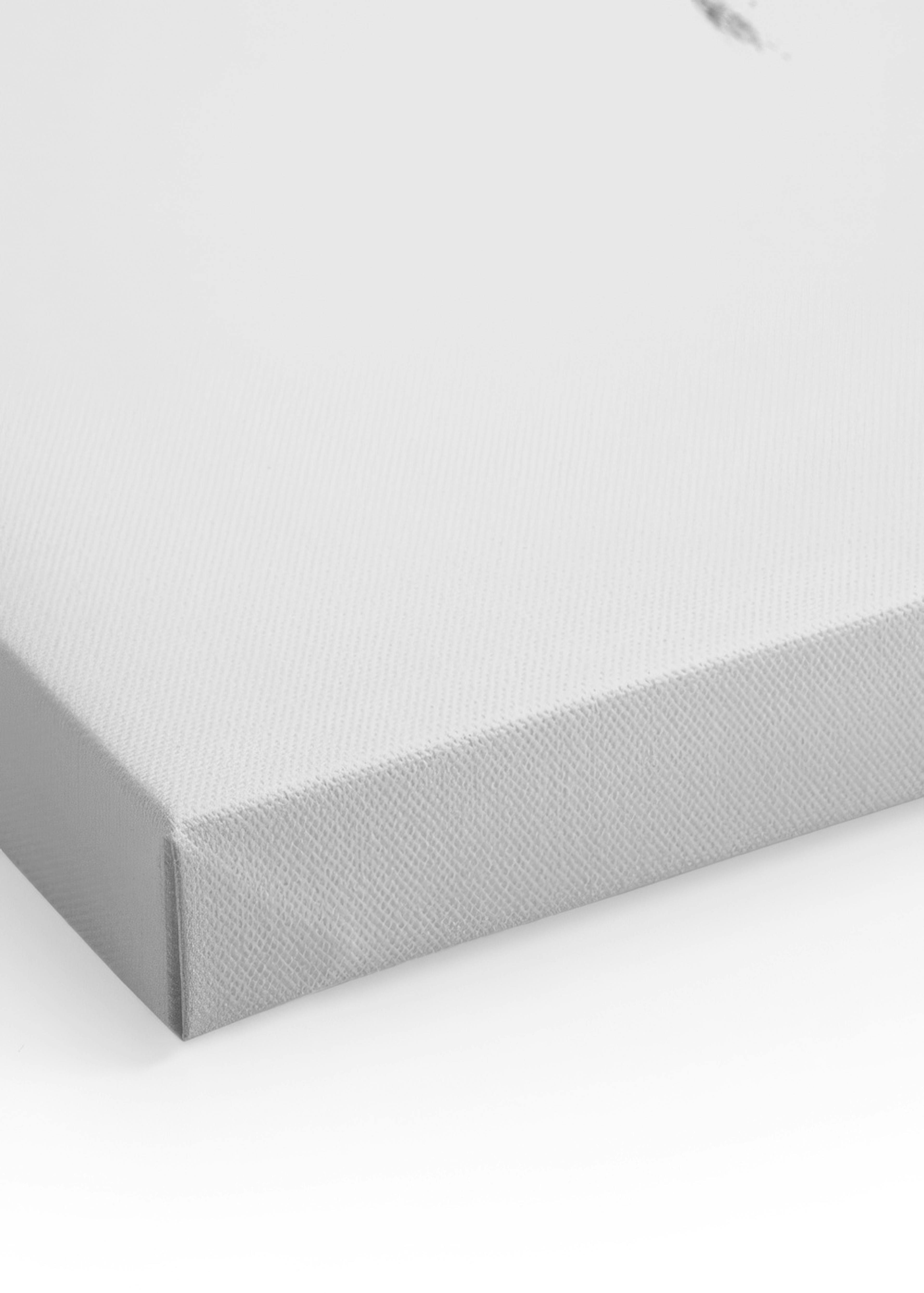Moon Phase Grey, Canvas print