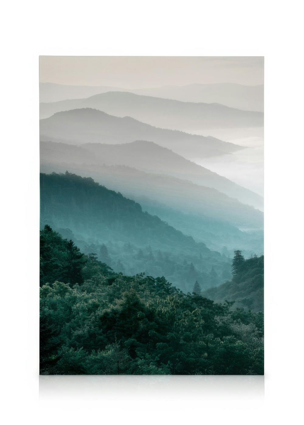 Leinwandbilder Forest Mountain Leinwandbild (30x40 cm)