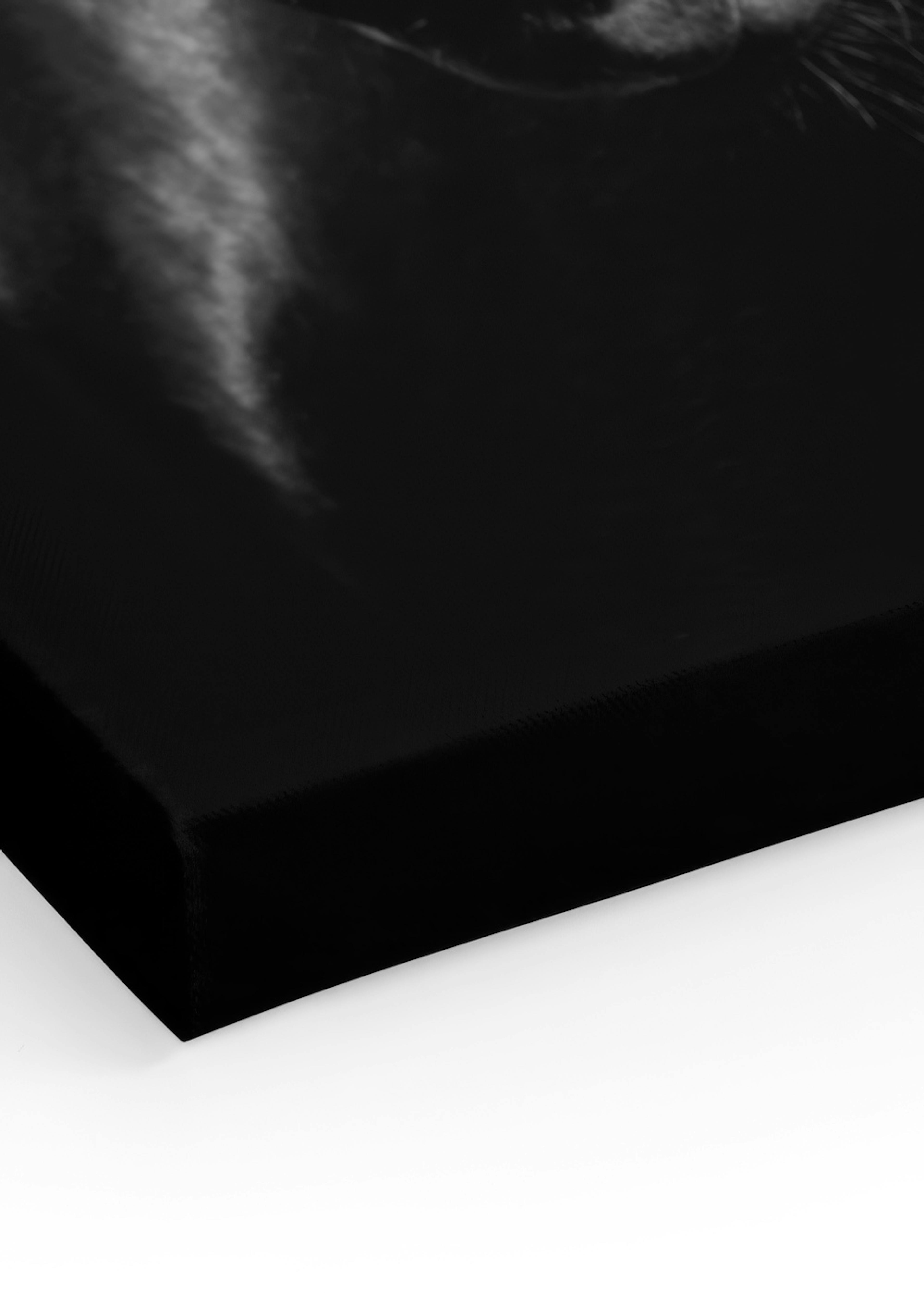 Product image: 3