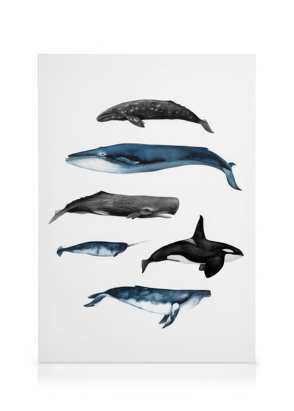 Canvas Schilderijen Whales Canvas (50x70 cm - Fotolijst Eiken)