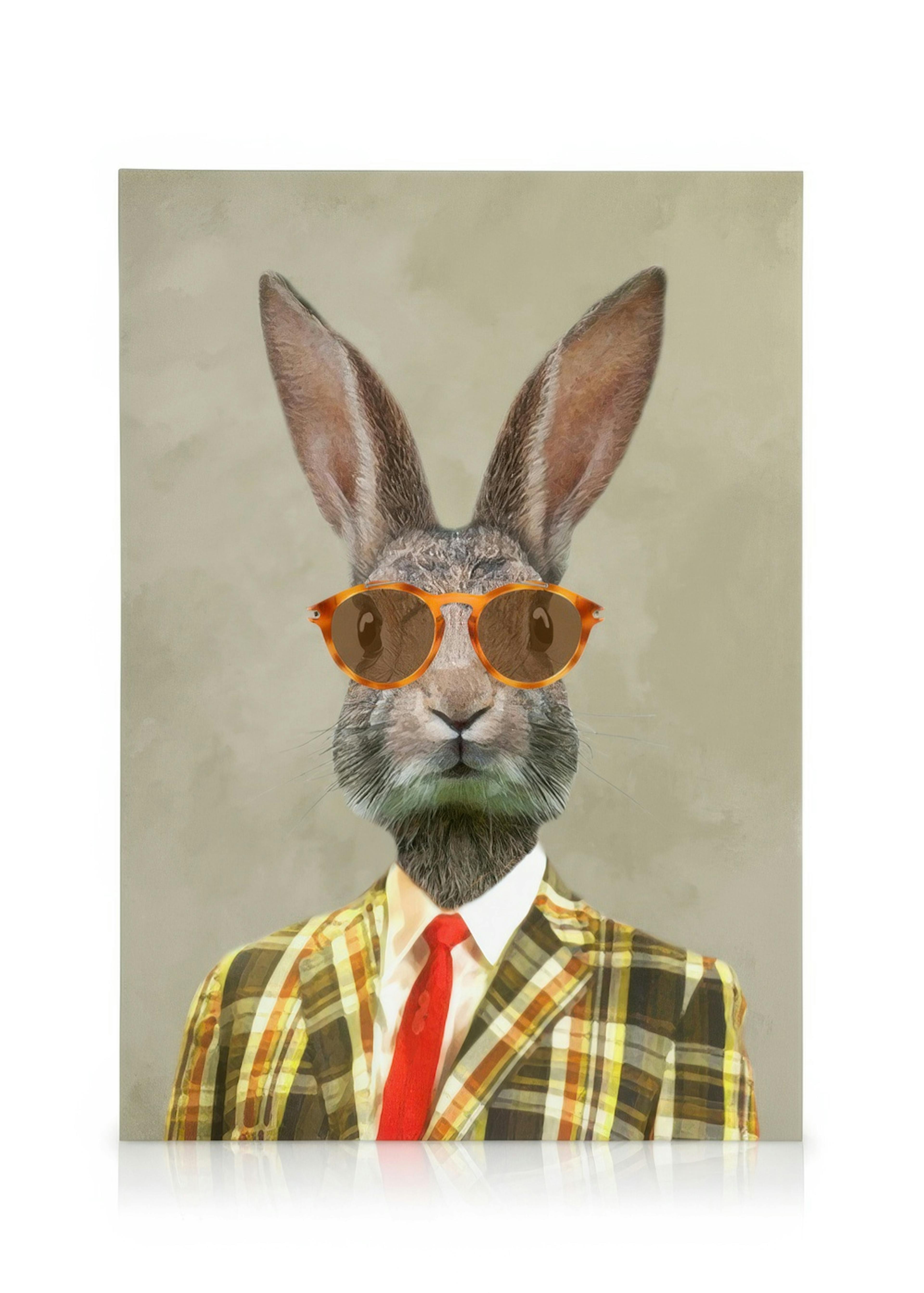 Coco De Paris - Rabbit Vintage Man Lienzo 0