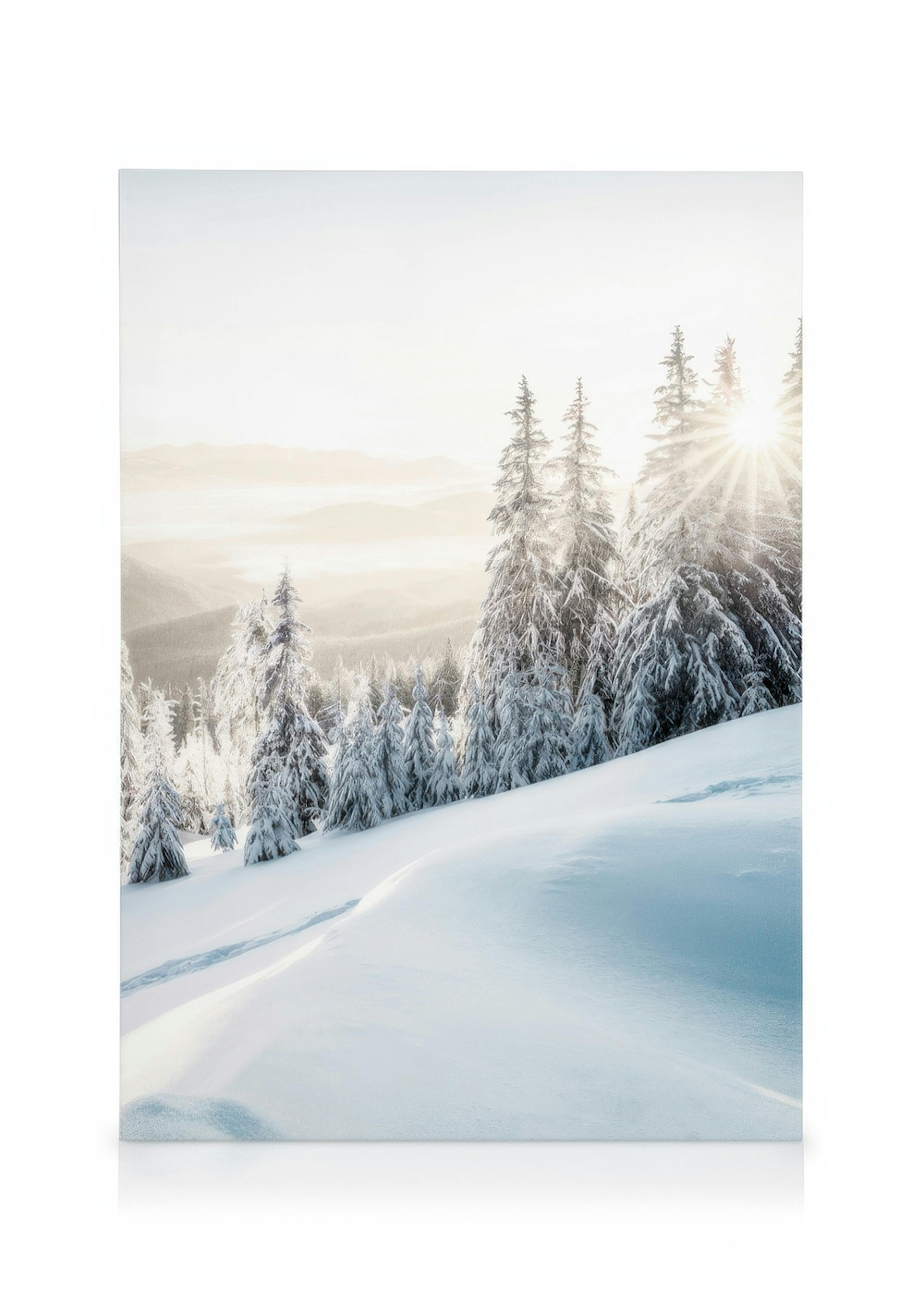 Winter Sunrise Lerret 0