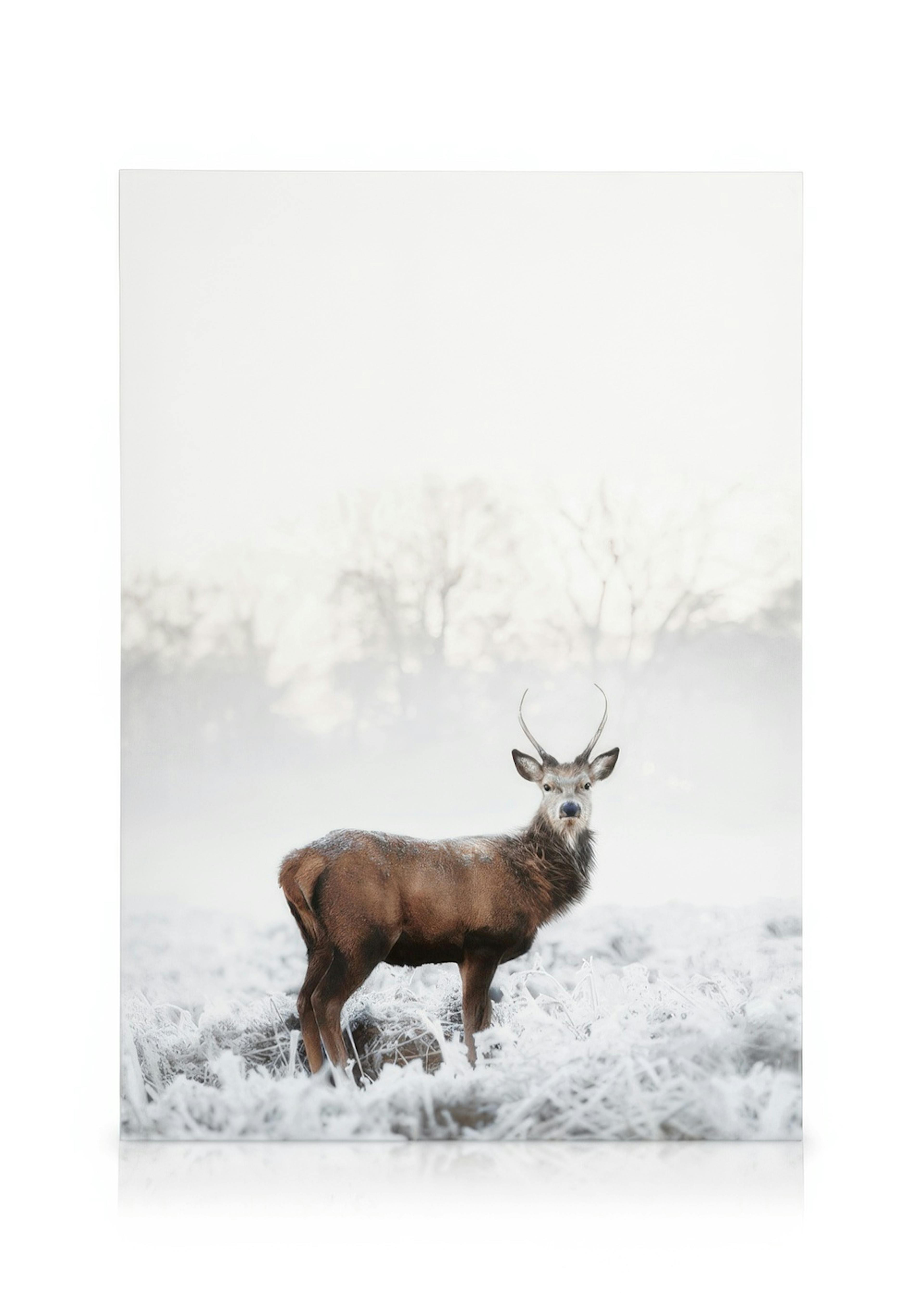 Frosty Red Deer Lerret 0