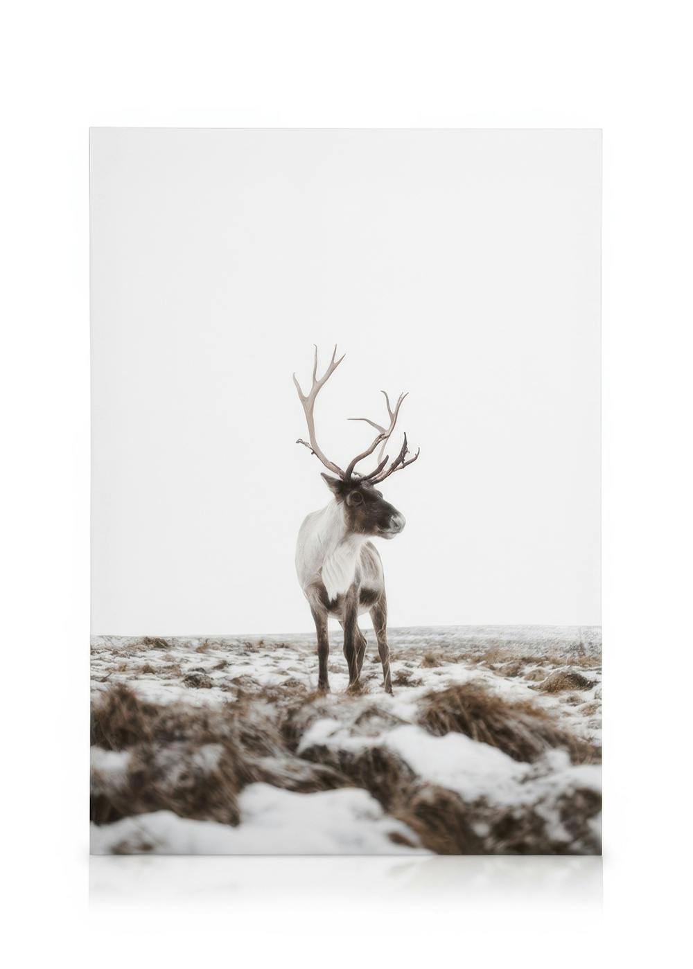 Canvas Prints Reindeer Canvas print (30x40 cm - Oak Frame)