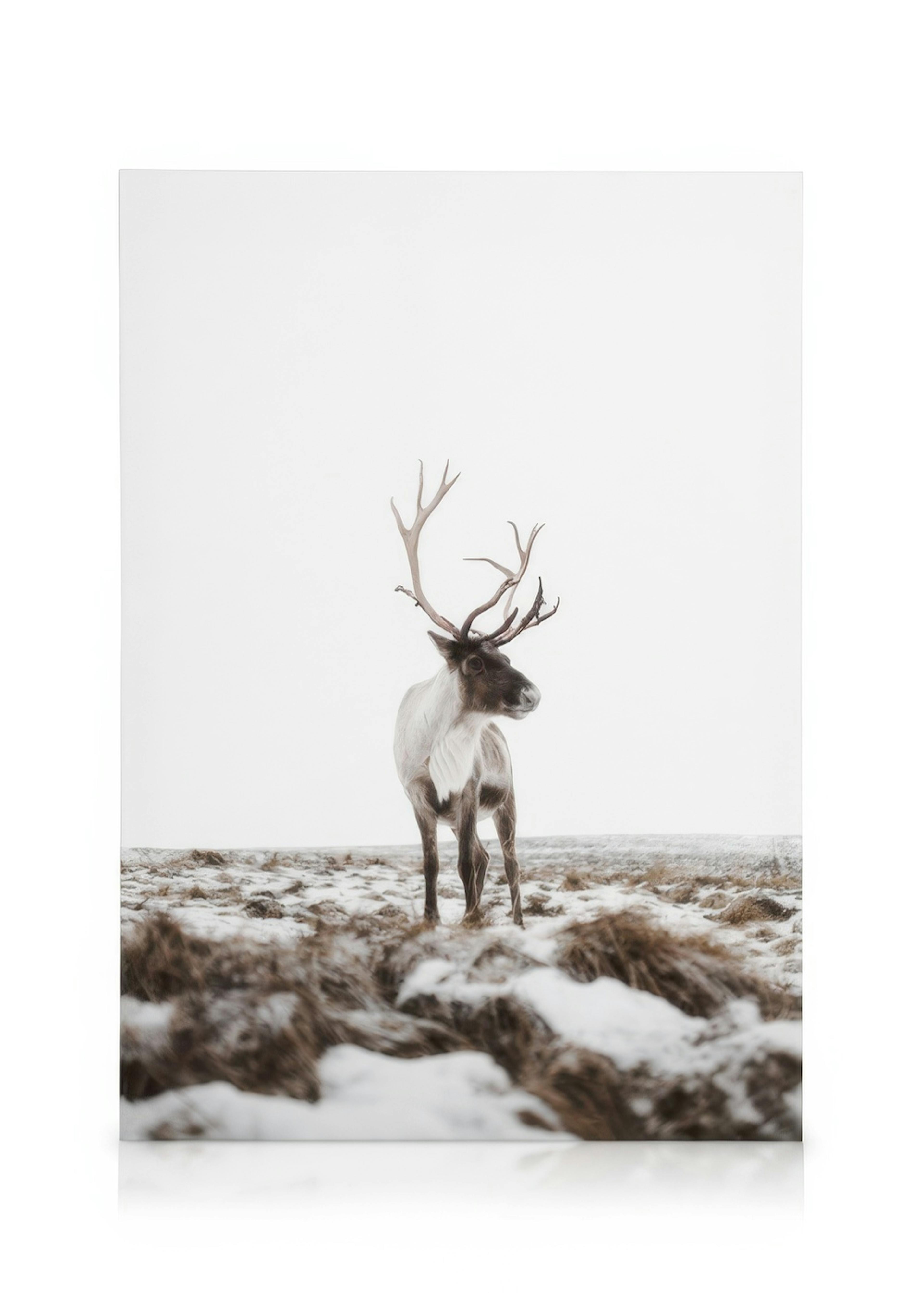 Reindeer Lerret 0