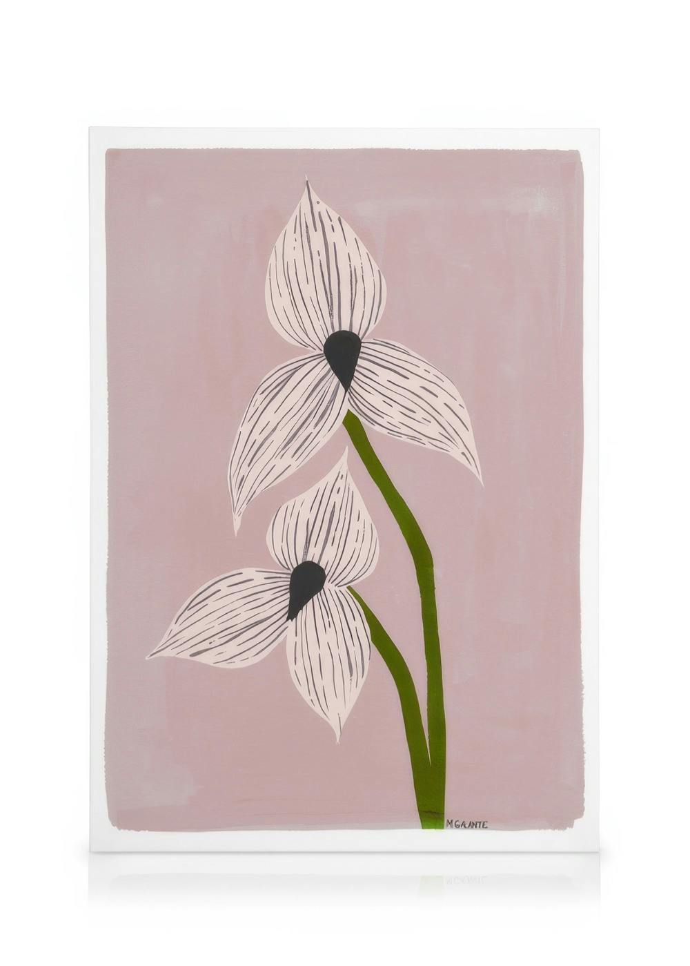 Obraz na plátne: Dve ružové orchidey s tmavými stredmi a zelenými stonkami na ružovom pozadí.