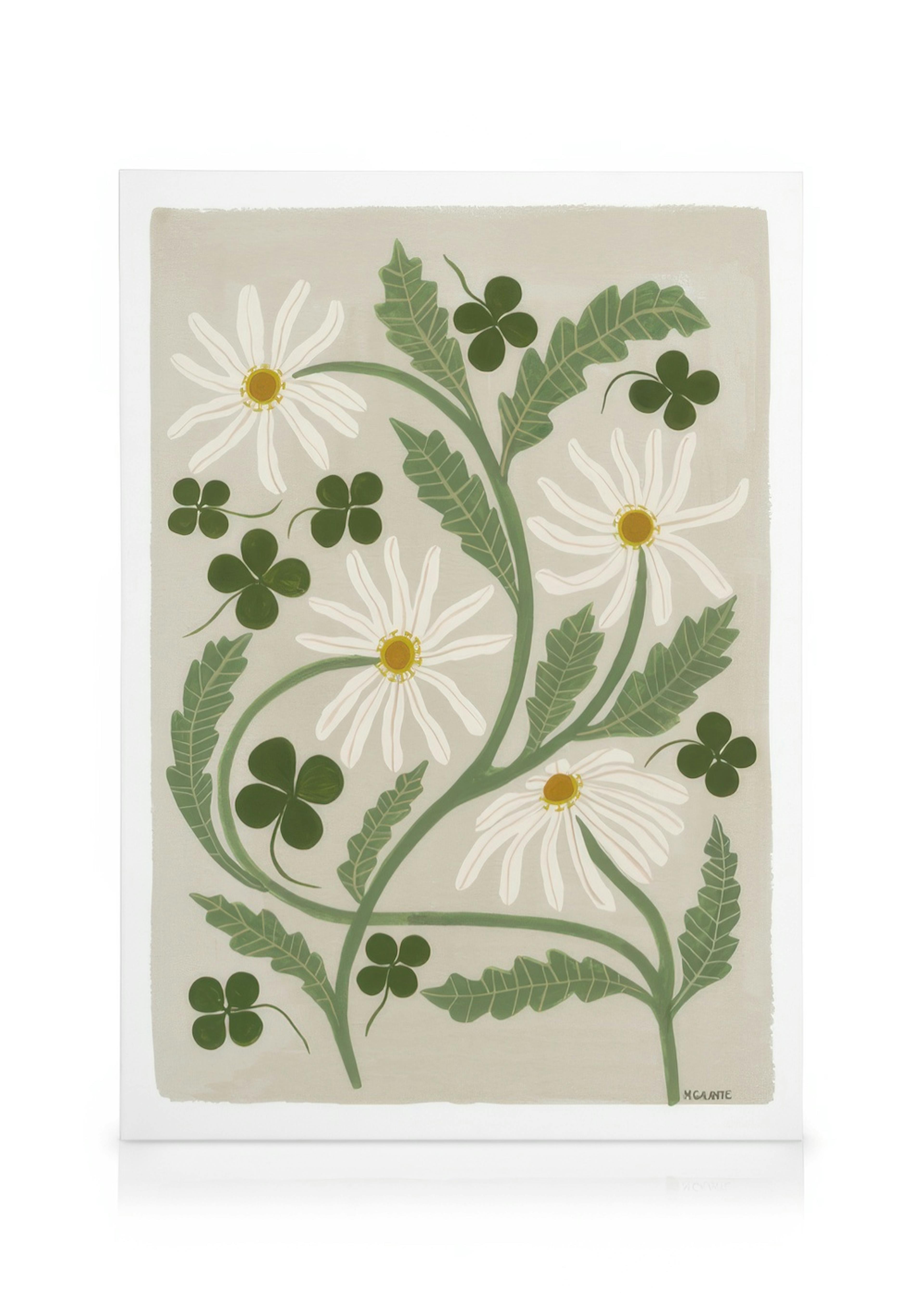 Megan Galante - Clover Floral Obraz na plátně 0