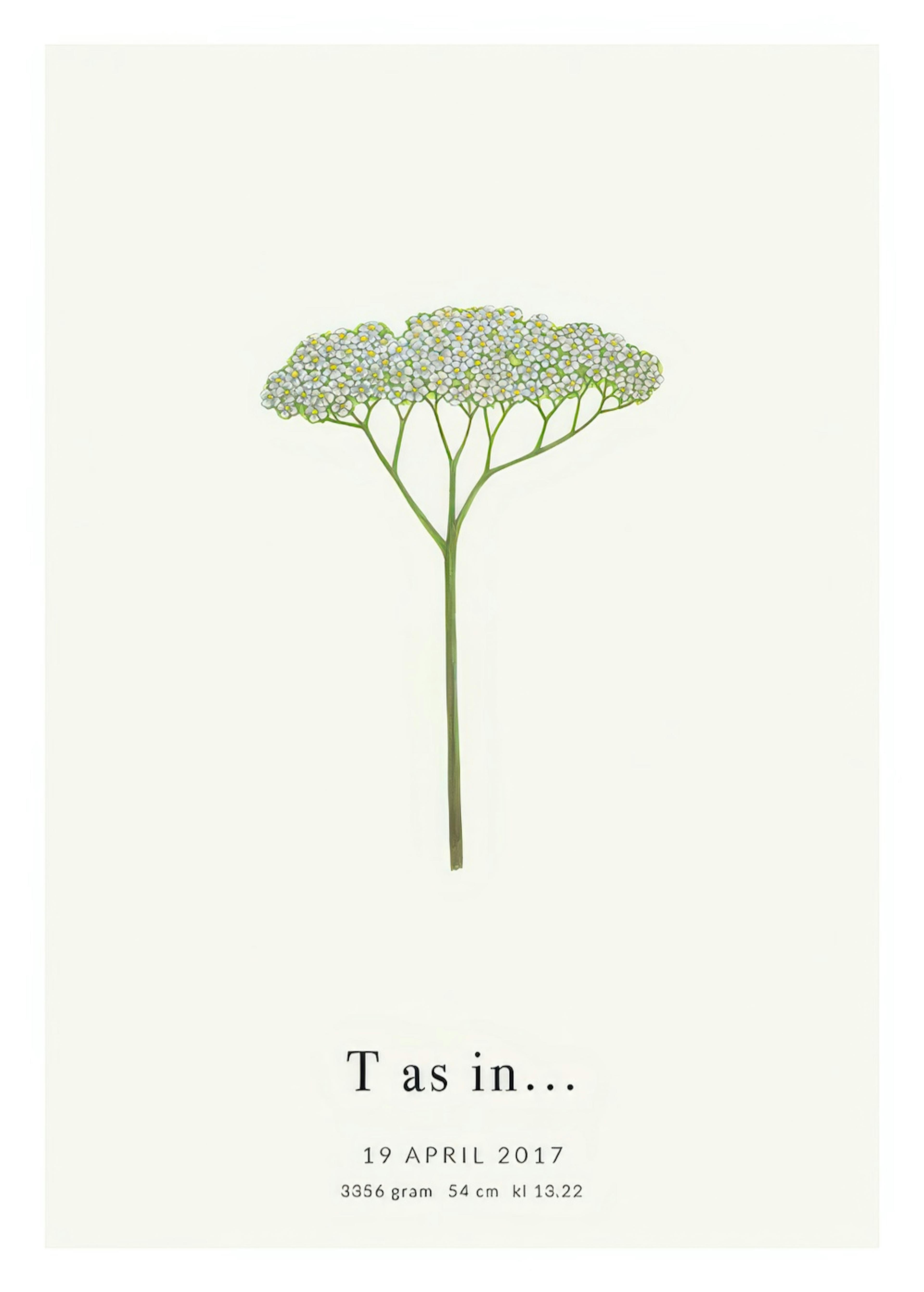 Botanic Letter T Personal Plakát