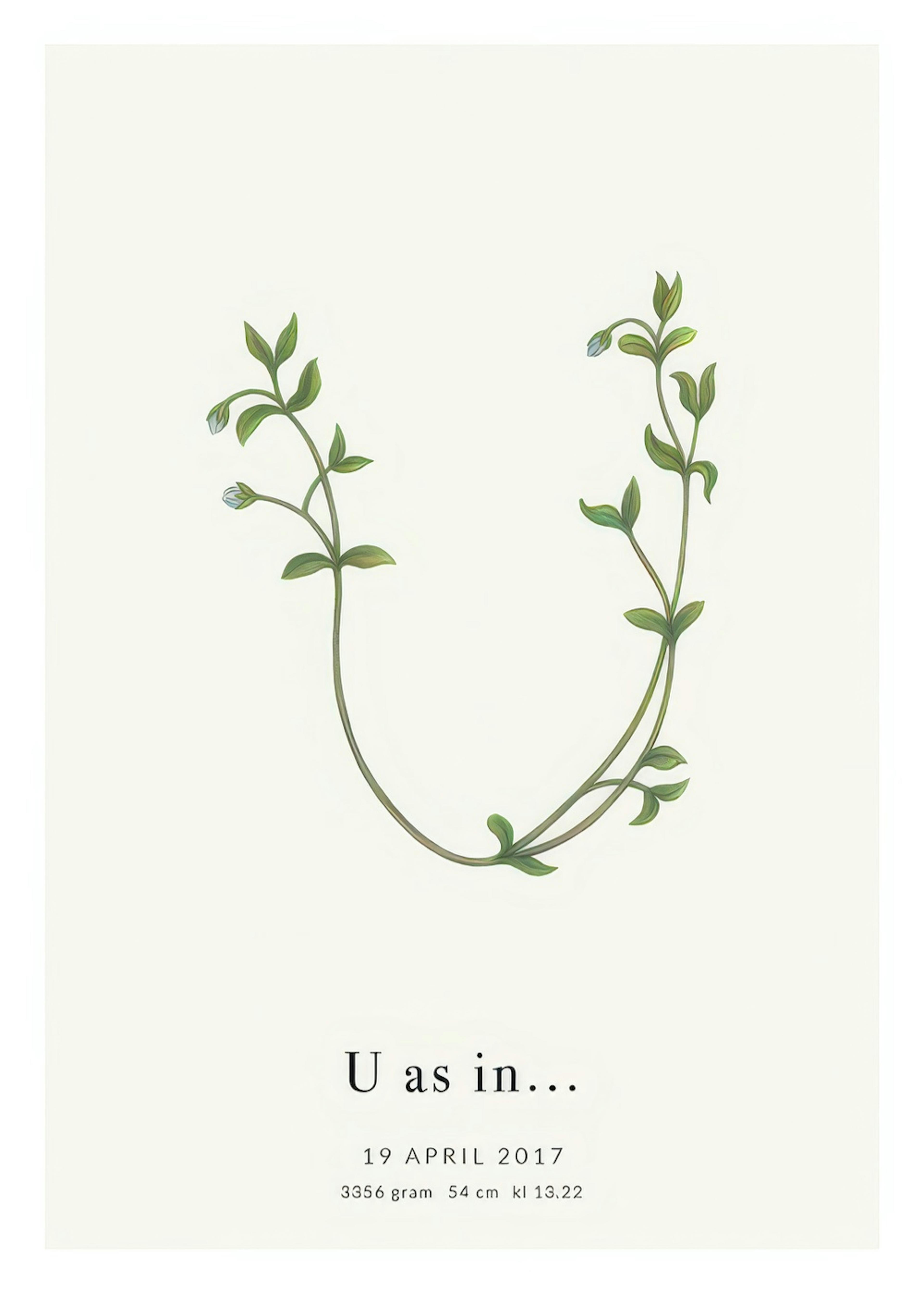 Product image: 1