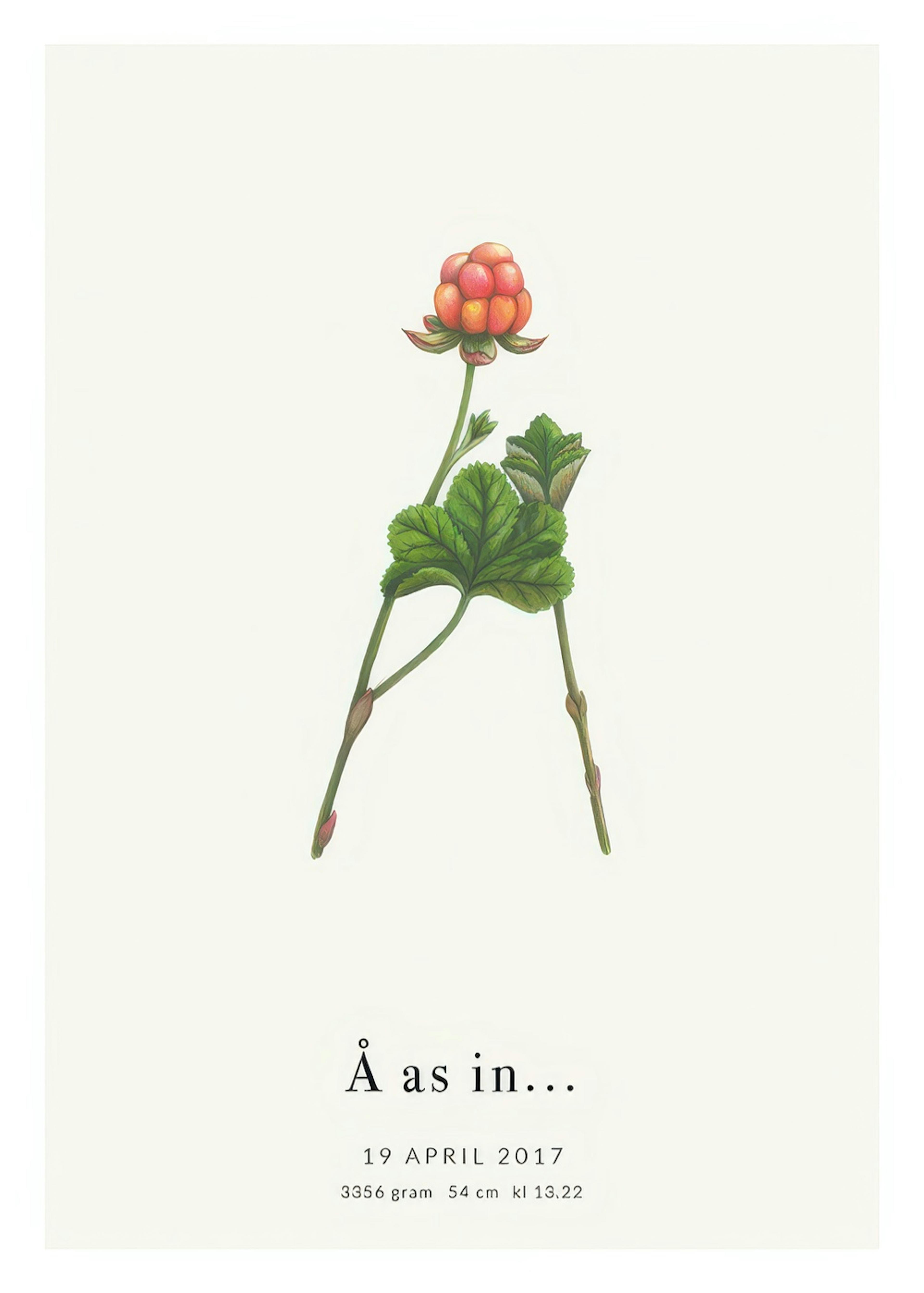Botanic Letter Å Personal Plakat