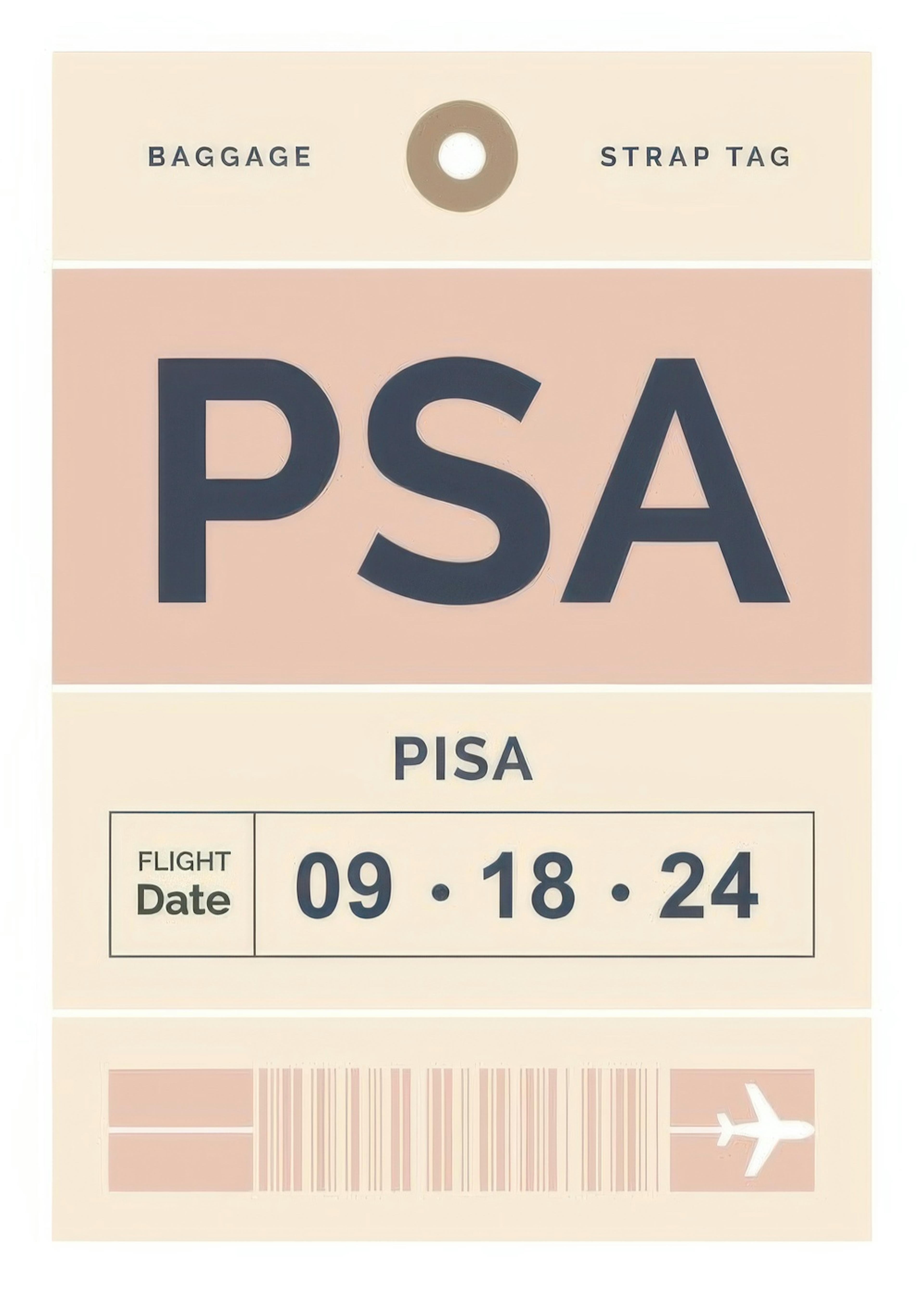 Baggage Tag No1 Pink Personal Poster 0