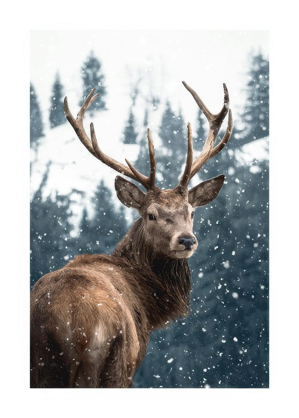 Red Deer in Snow Poster 0
