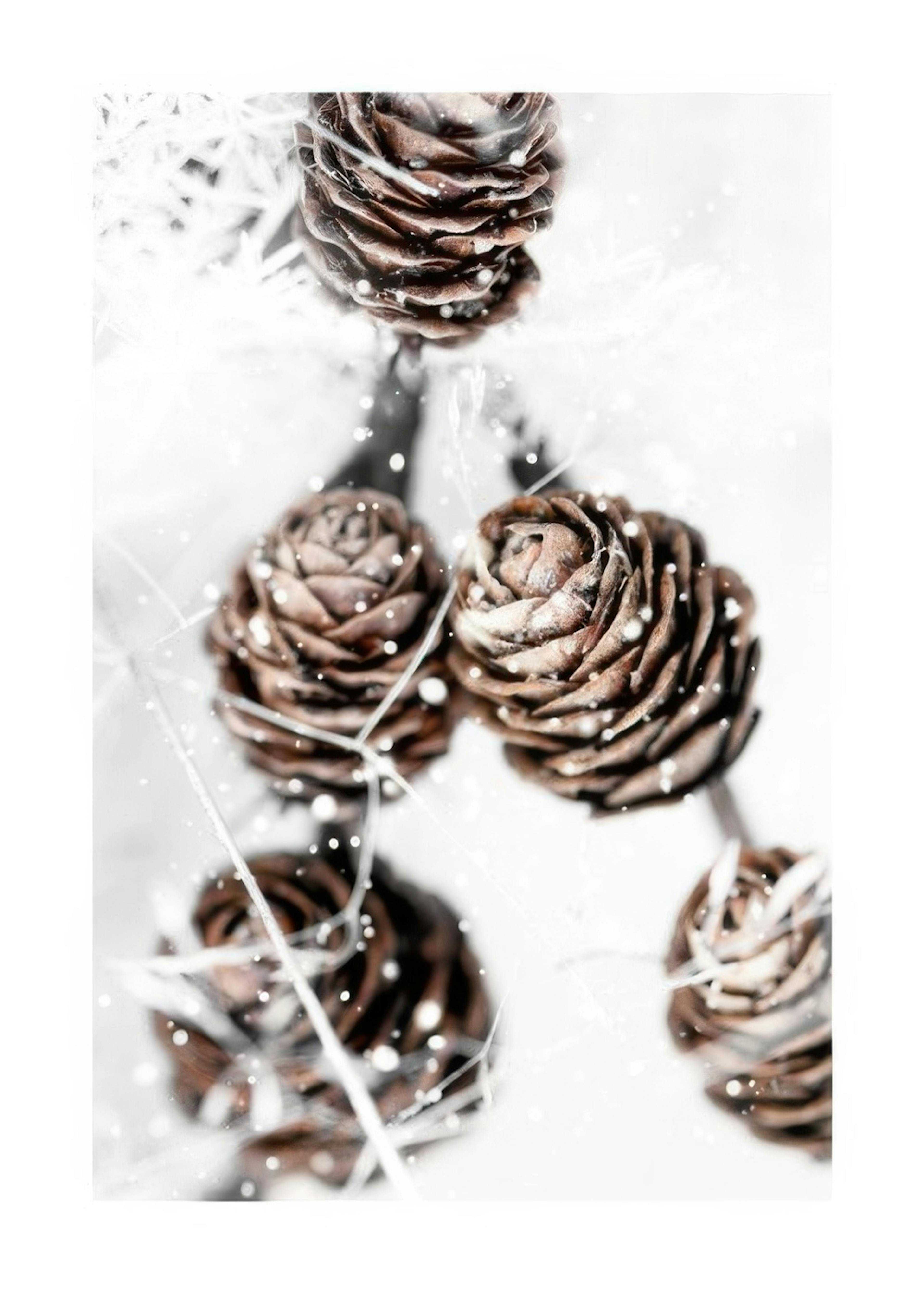 Winter Cones Print 0