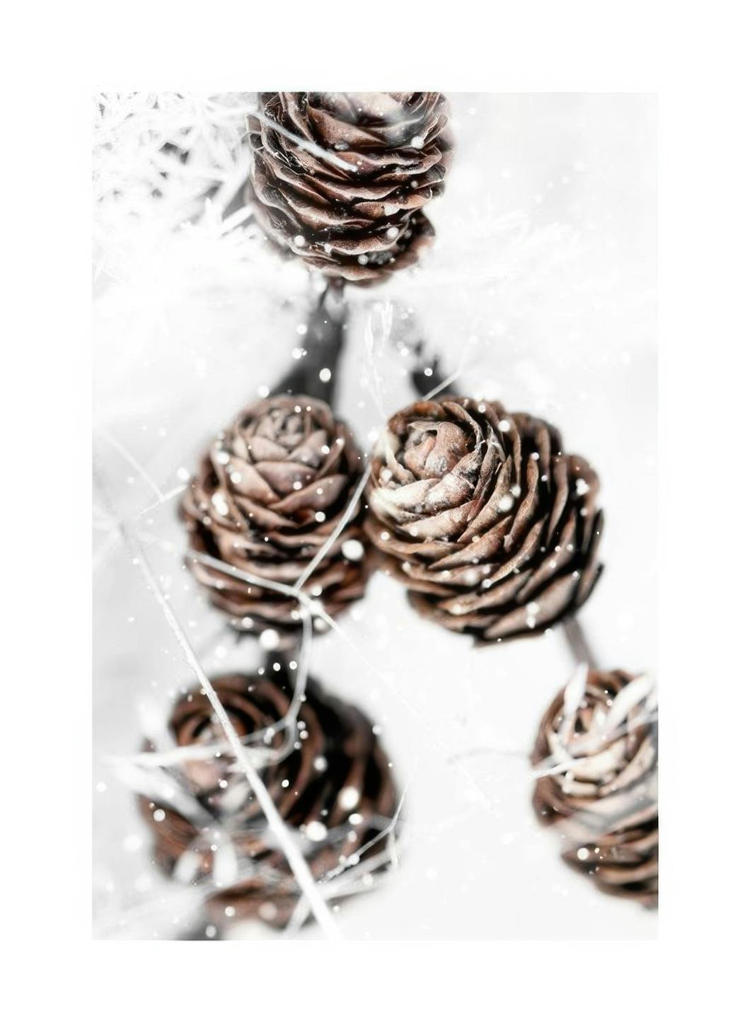 Winter Cones Poster (40x50 cm)- Posters de inverno