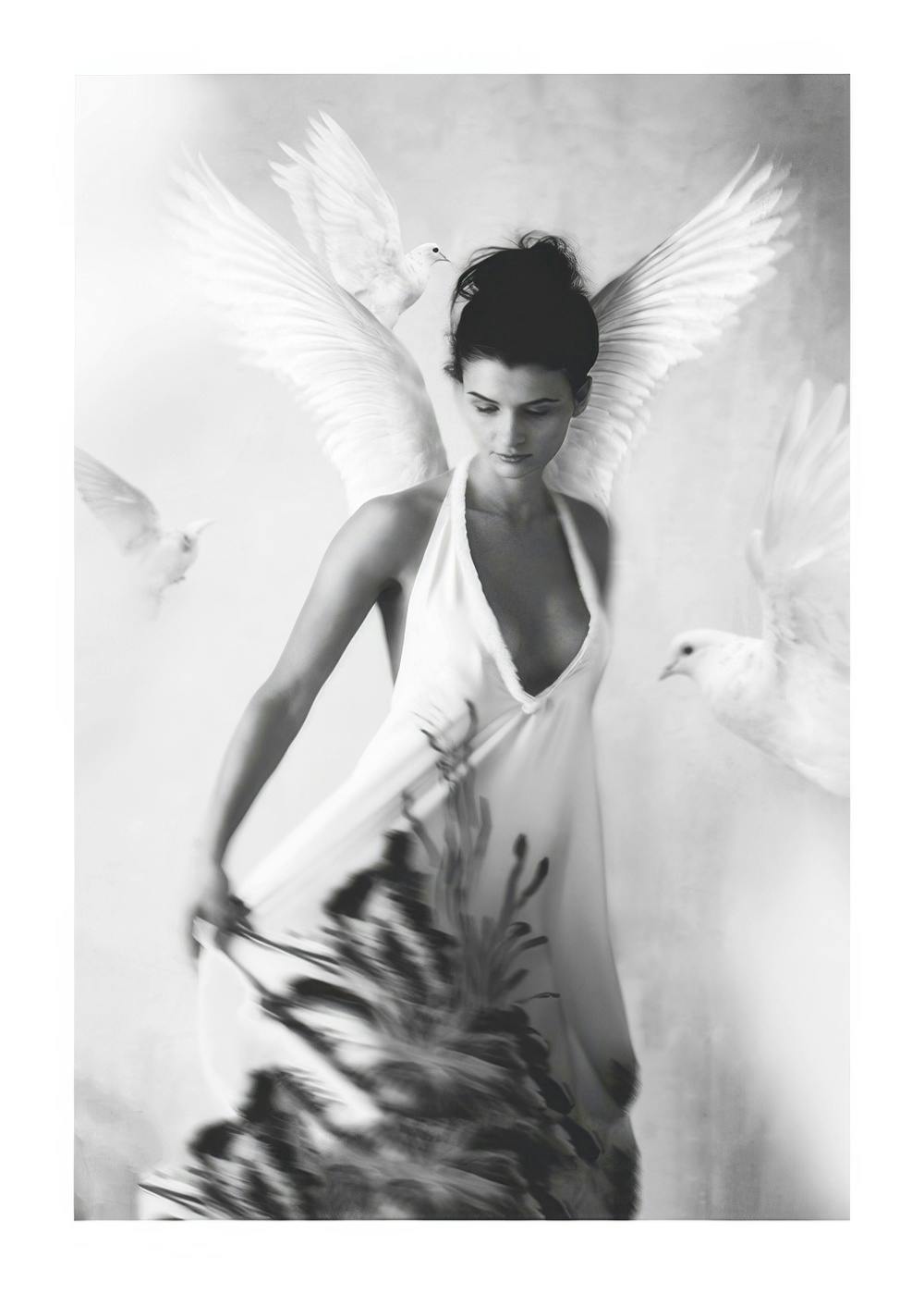 Black and white photograph of a woman with white angel wings and doves, Tove Frank Halo poster.