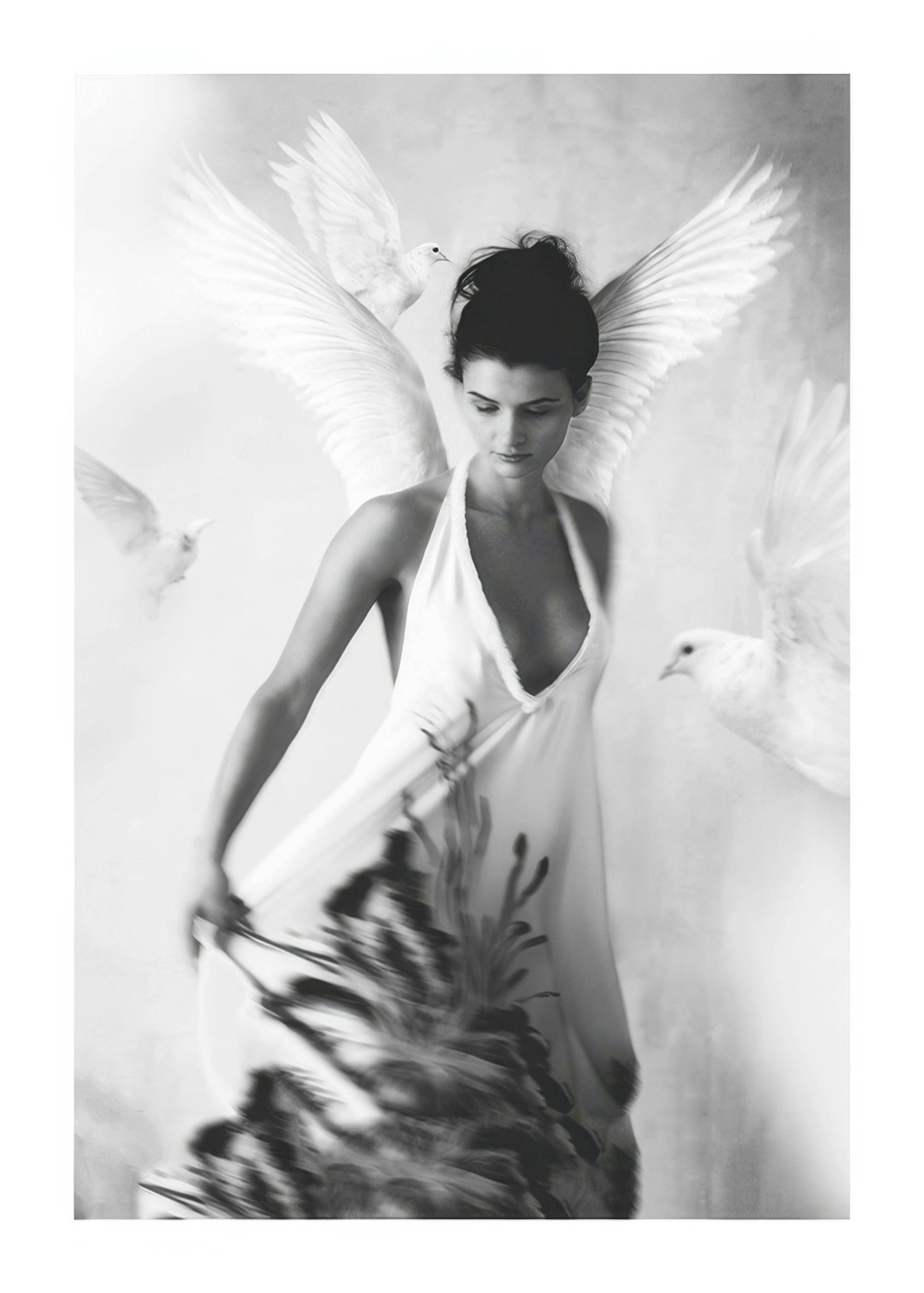 Tove Frank Halo 포스터 0