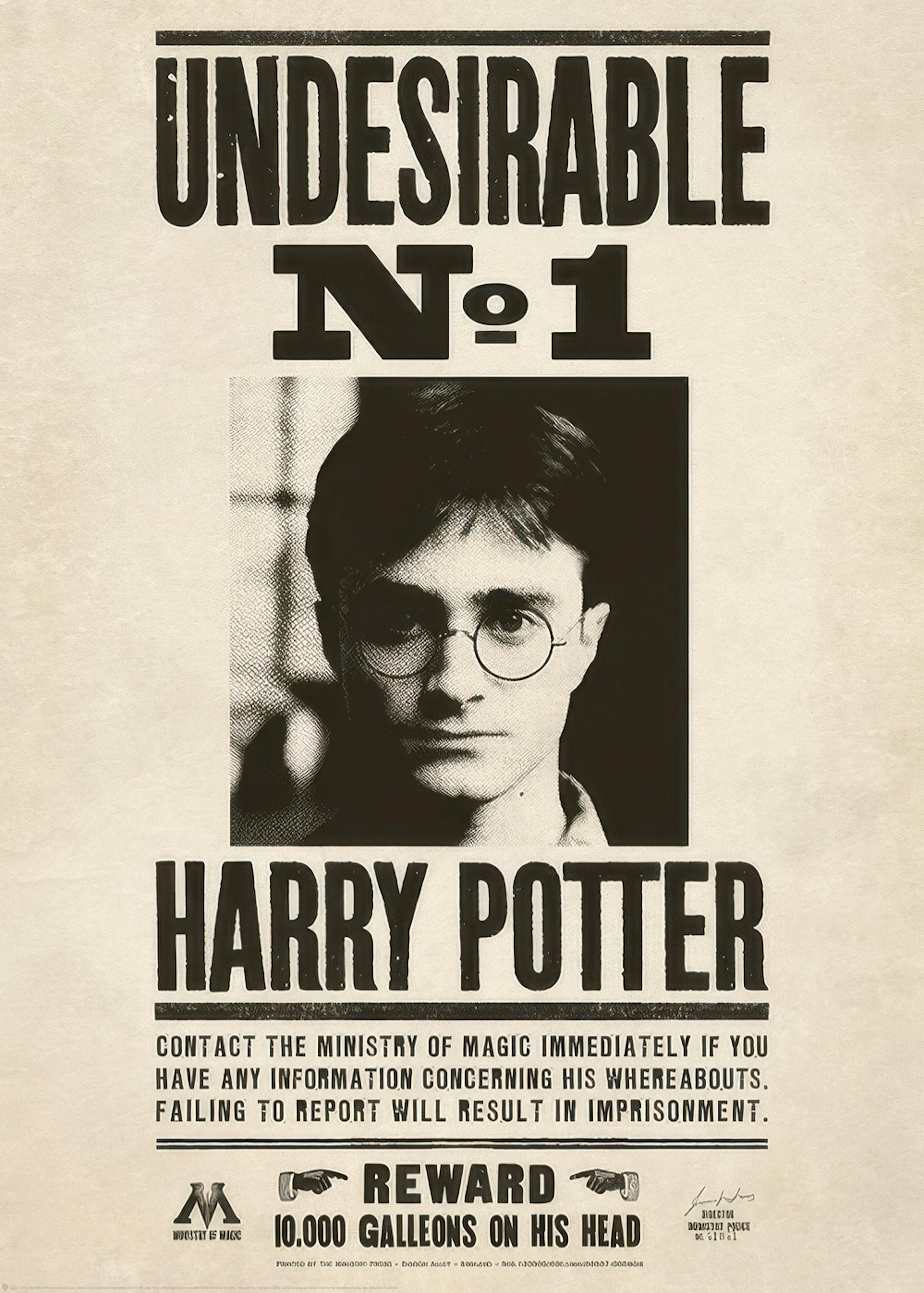 Harry Potter™ - Undesirable Print 0