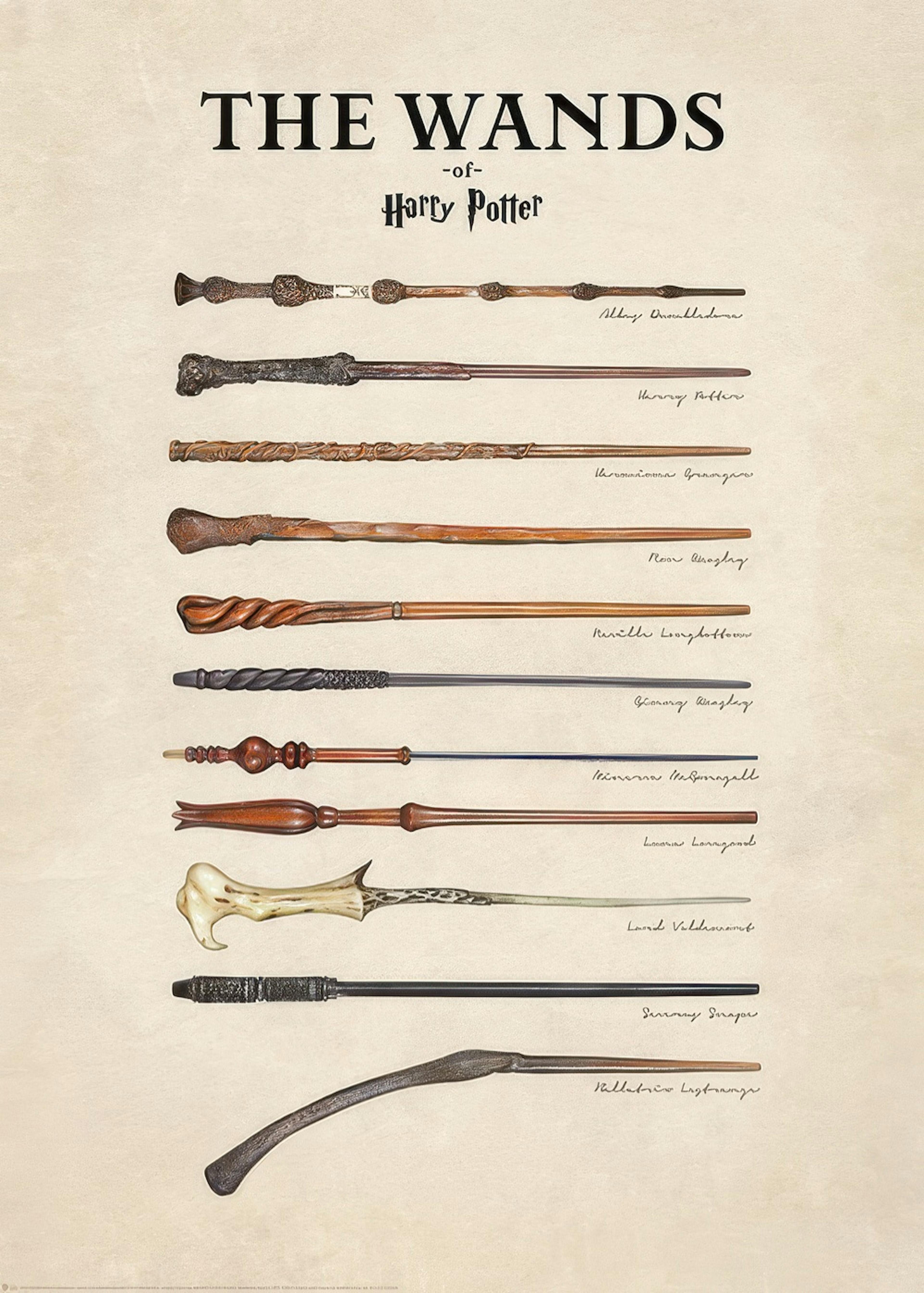 Harry Potter™ - The Wands Print 0