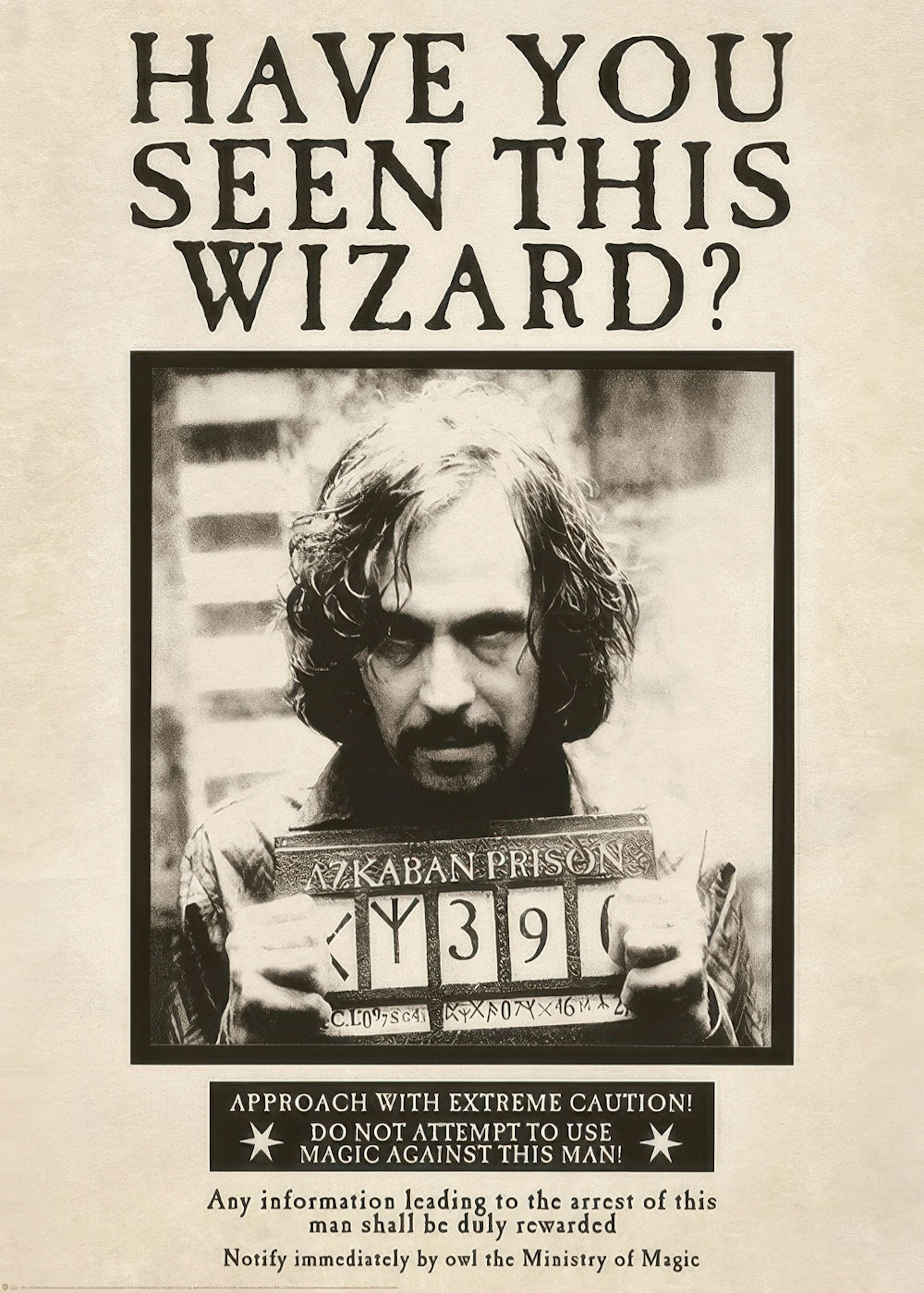 Harry Potter™ - Sirius Black Print 0