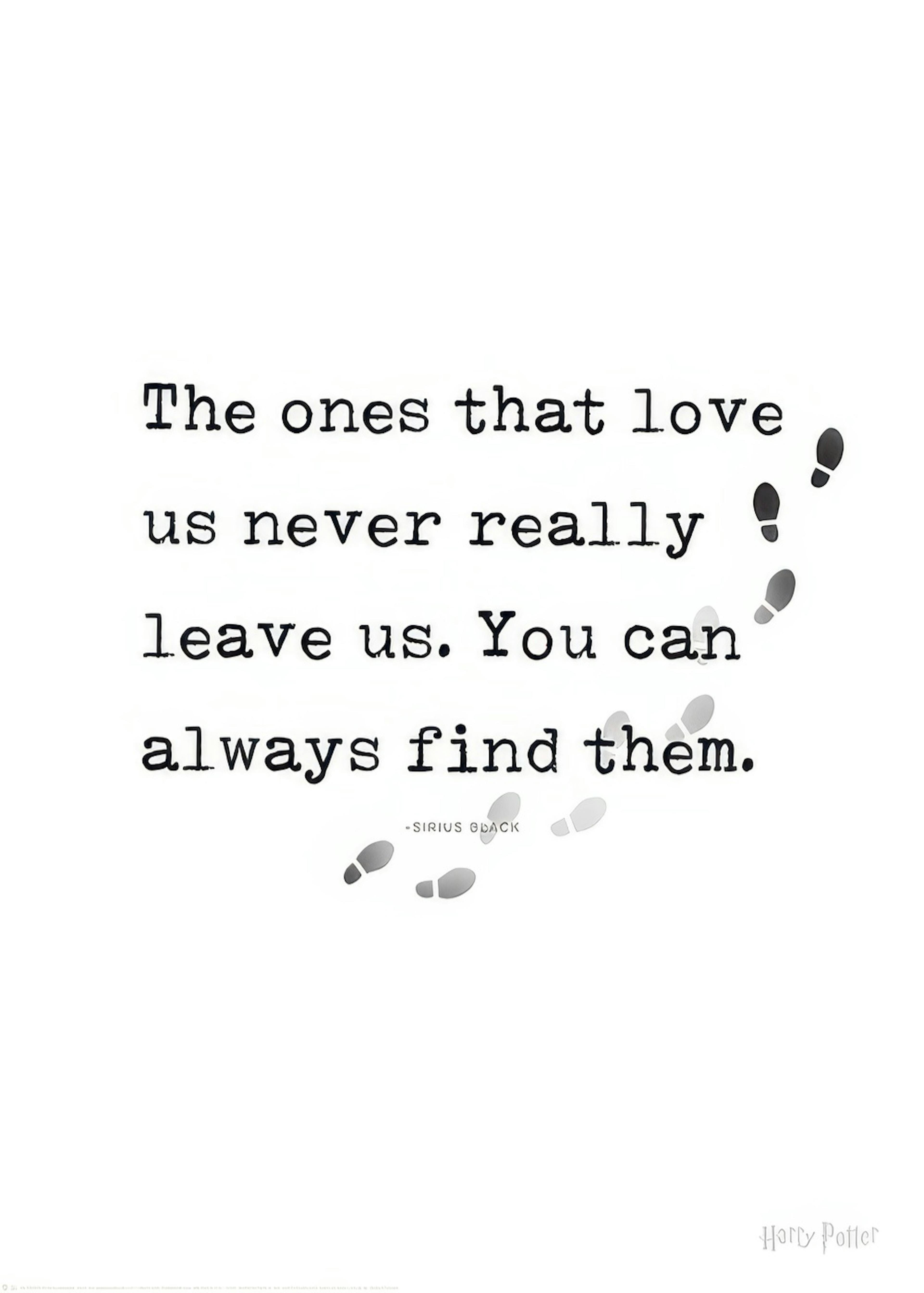 Harry Potter™ - You Can Always Find Them Print 0