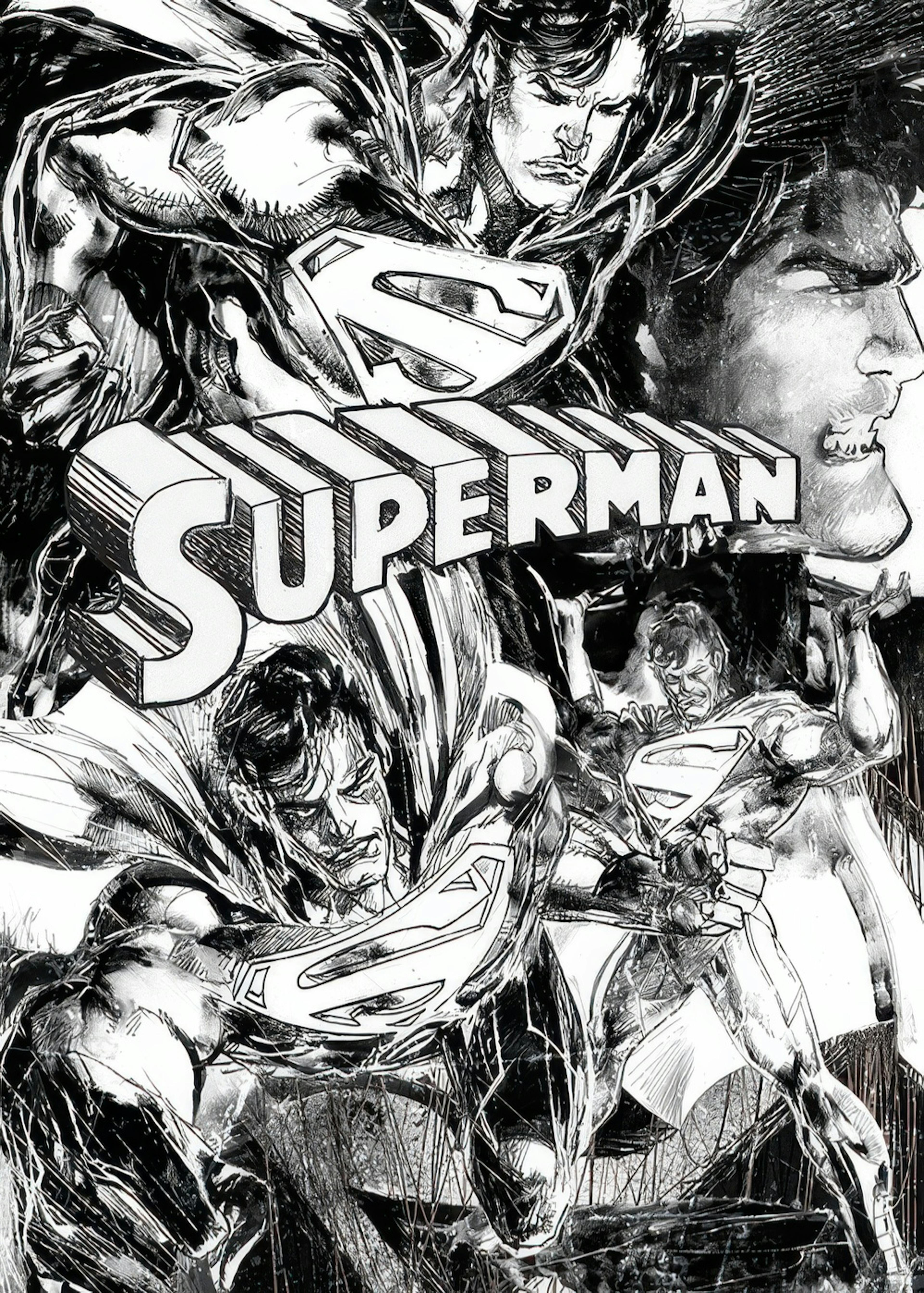 Superman™ - Sketches Plakat 0