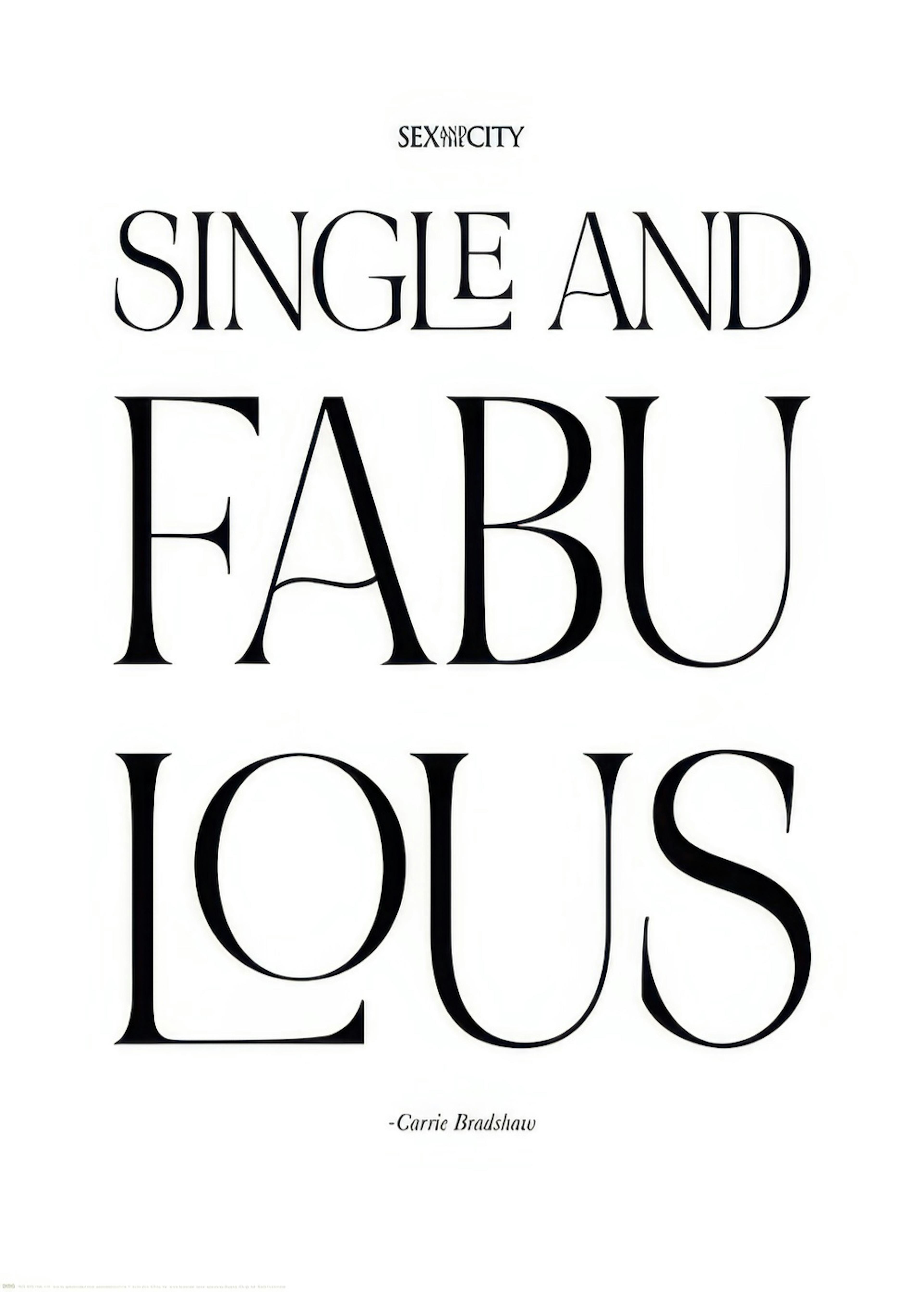 Sex and the City™ - Single and Fabulous Poster 0