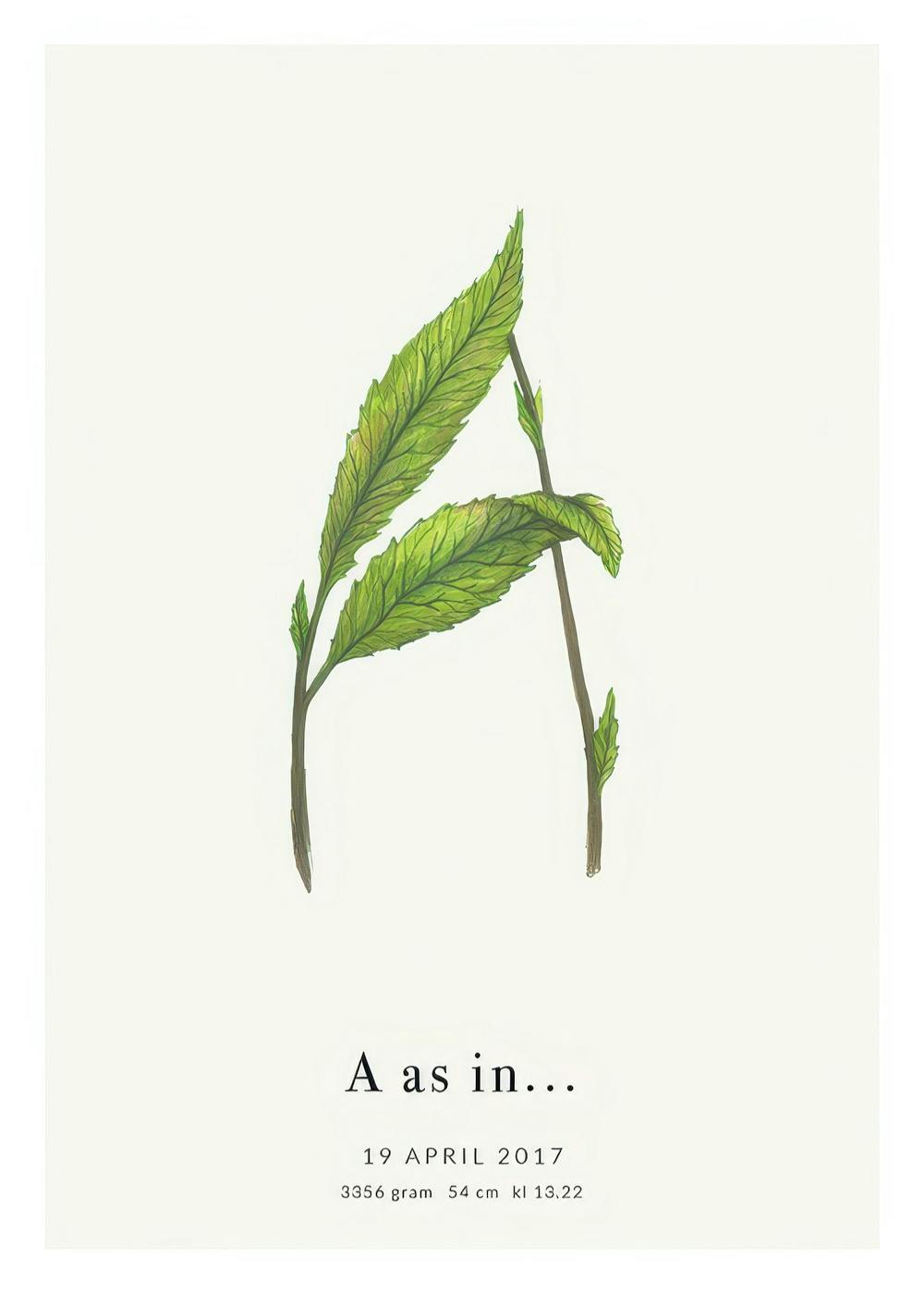 Botanic Letter A Personal 0