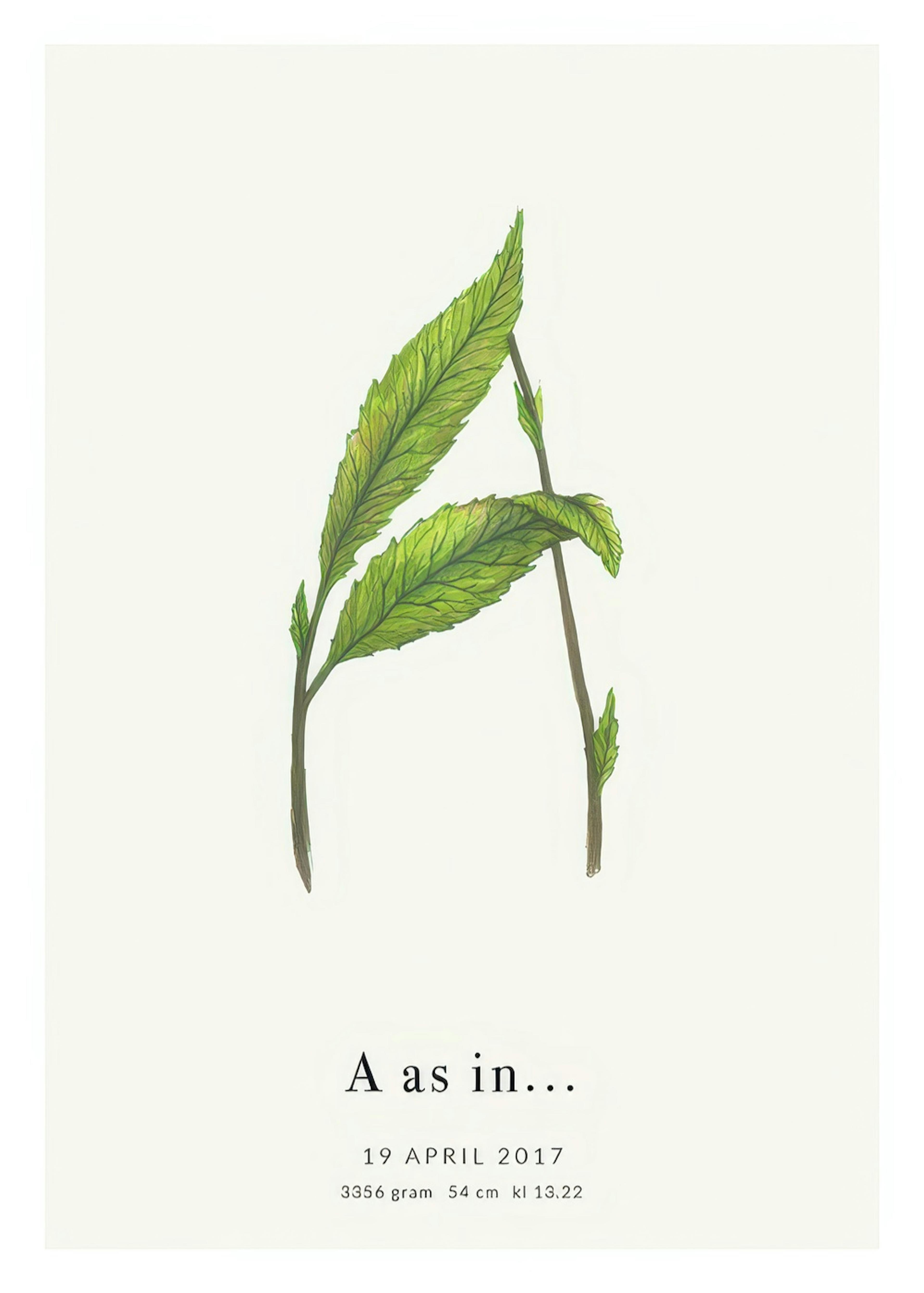 Botanic Letter A Personal Juliste 0