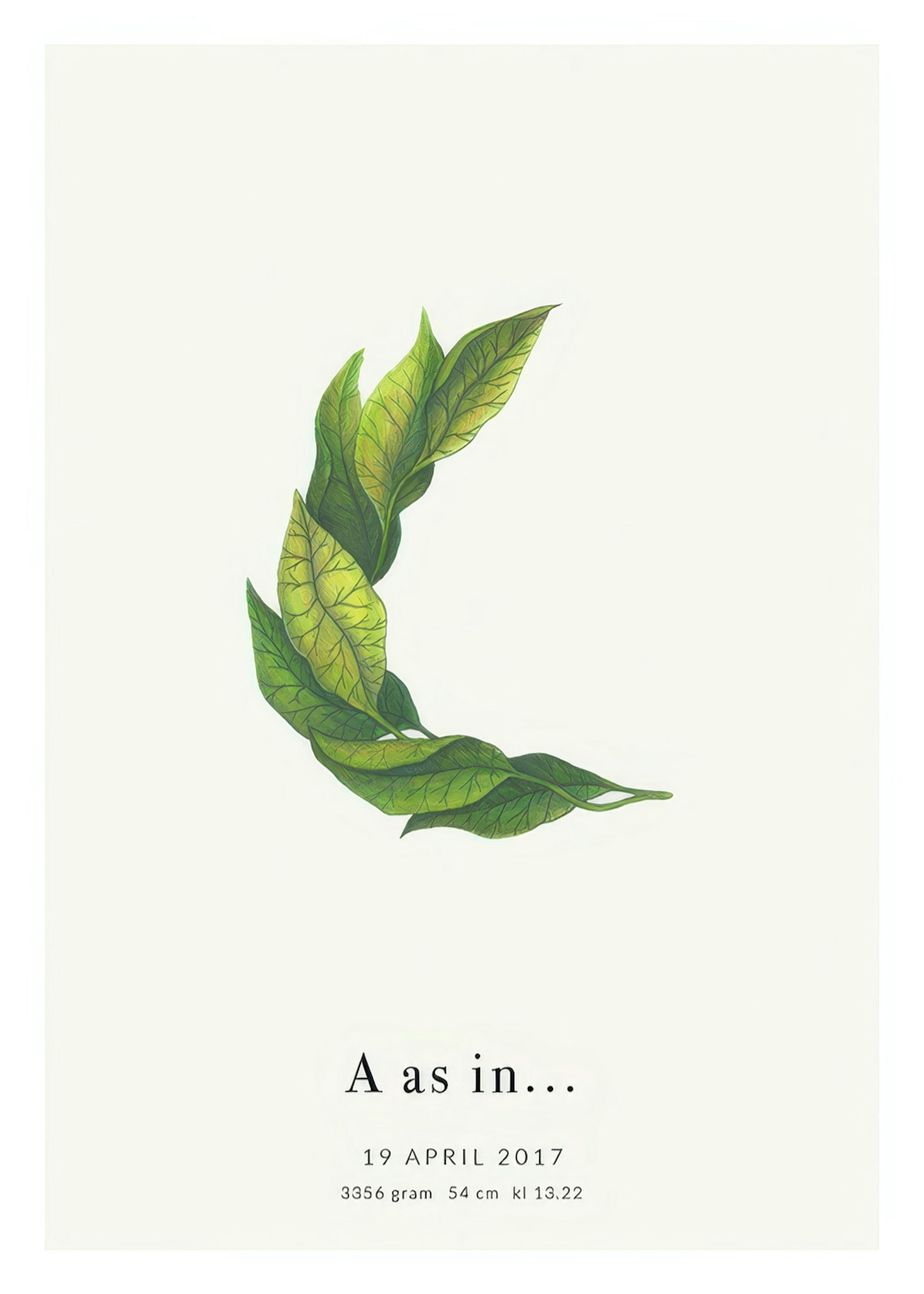 Botanic Letter C Personal Juliste 0