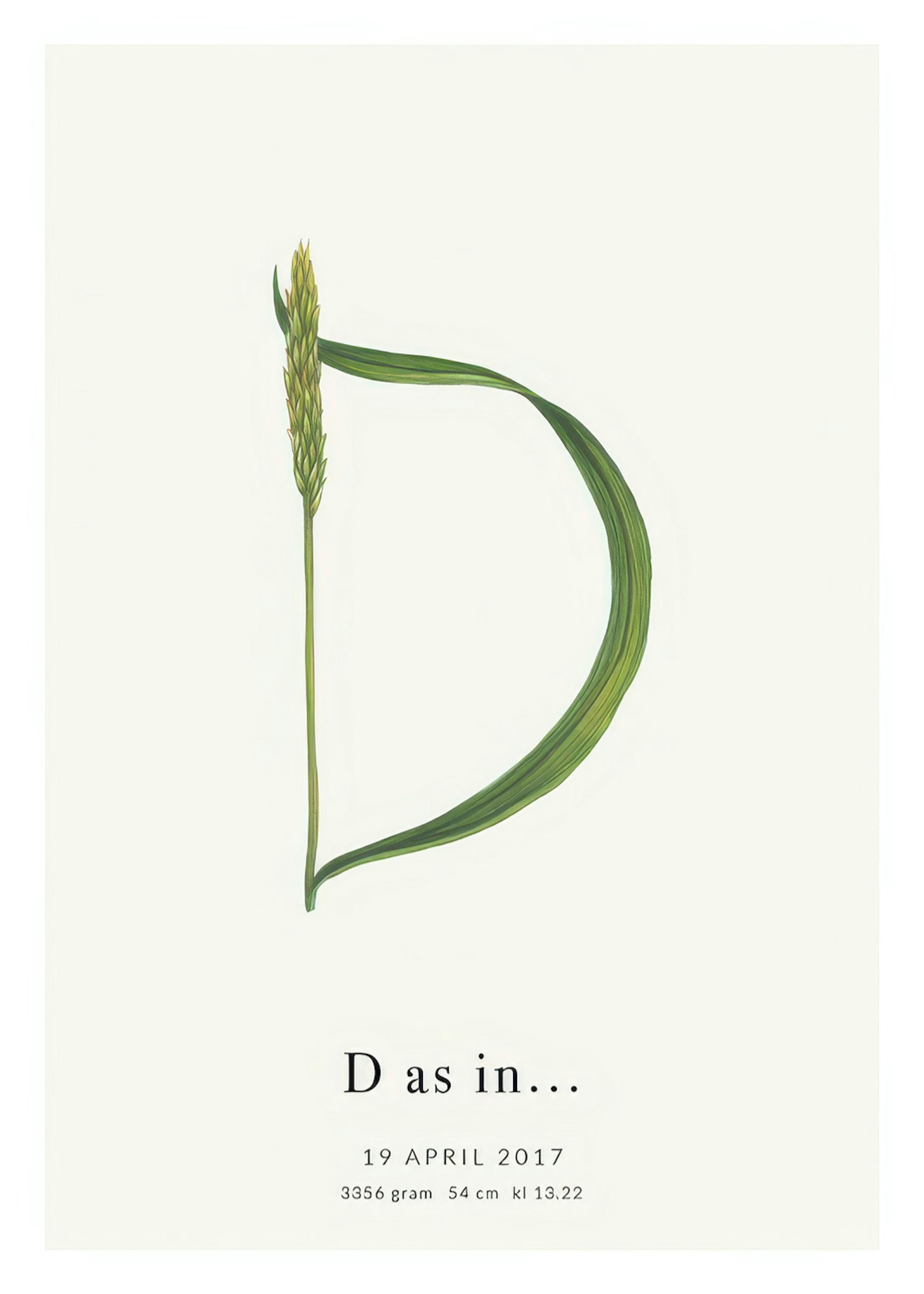 Botanic Letter D Personal Juliste 0