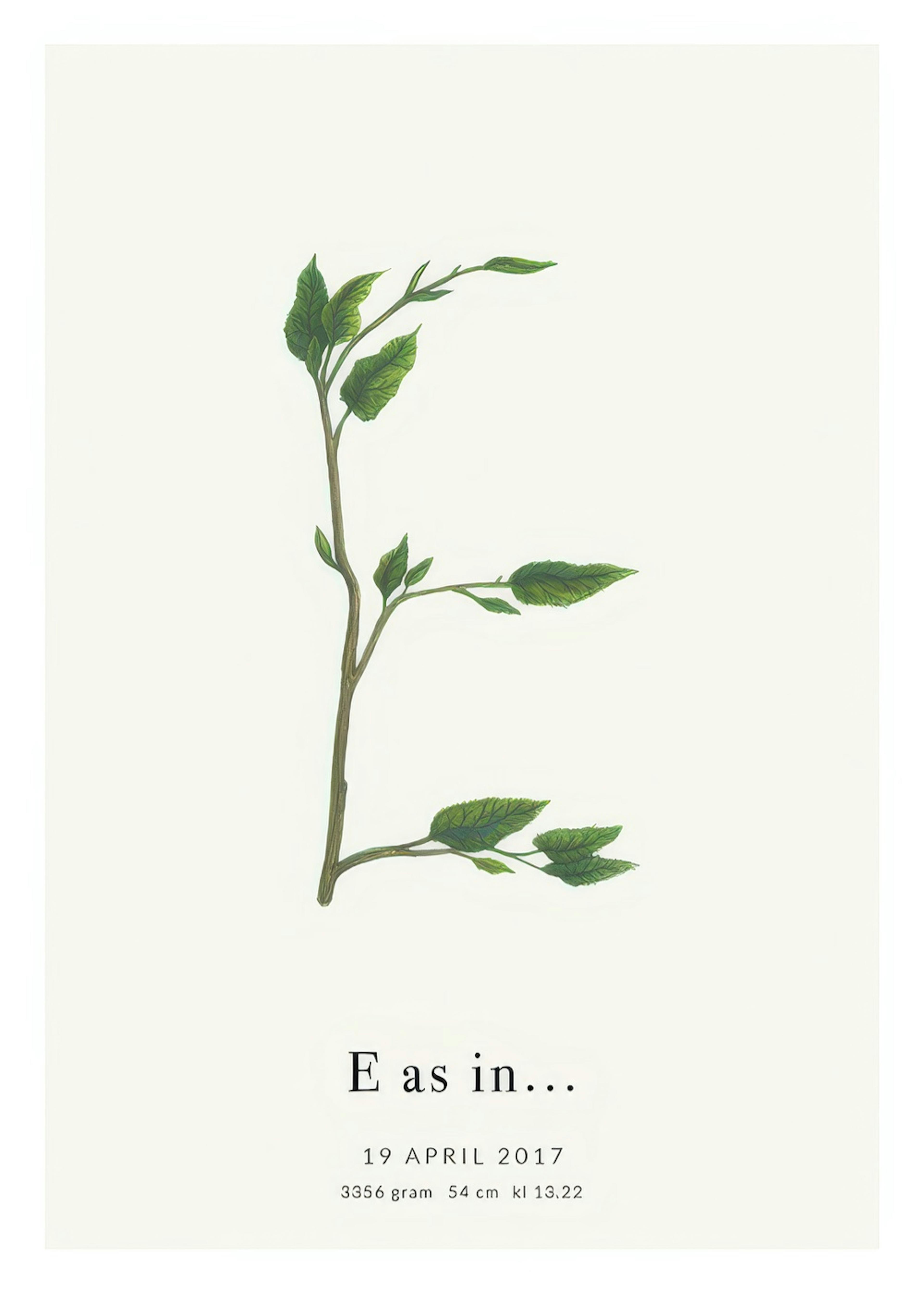 Botanic Letter E Personal Juliste 0