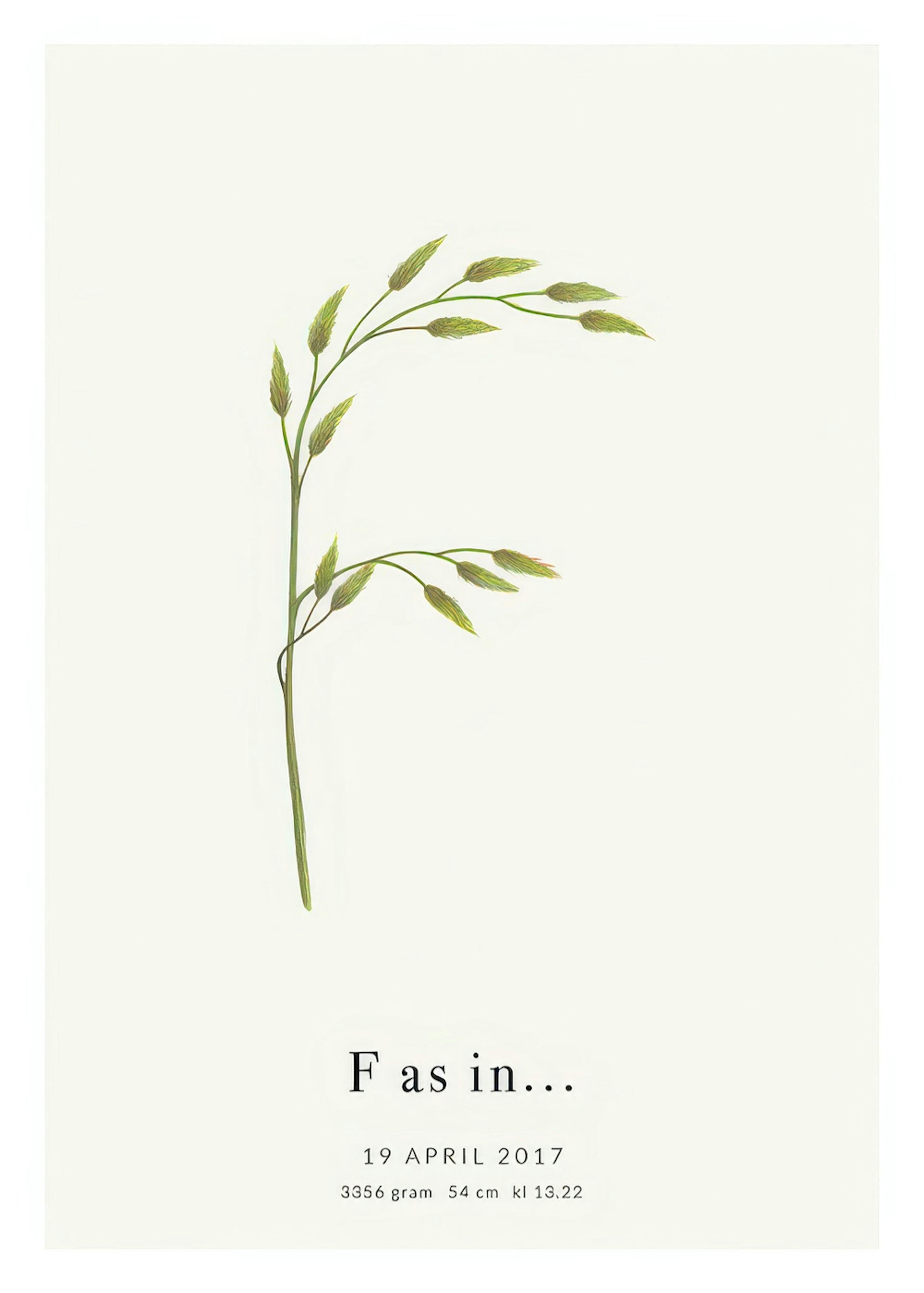 Botanic Letter F Personal Plakat 0