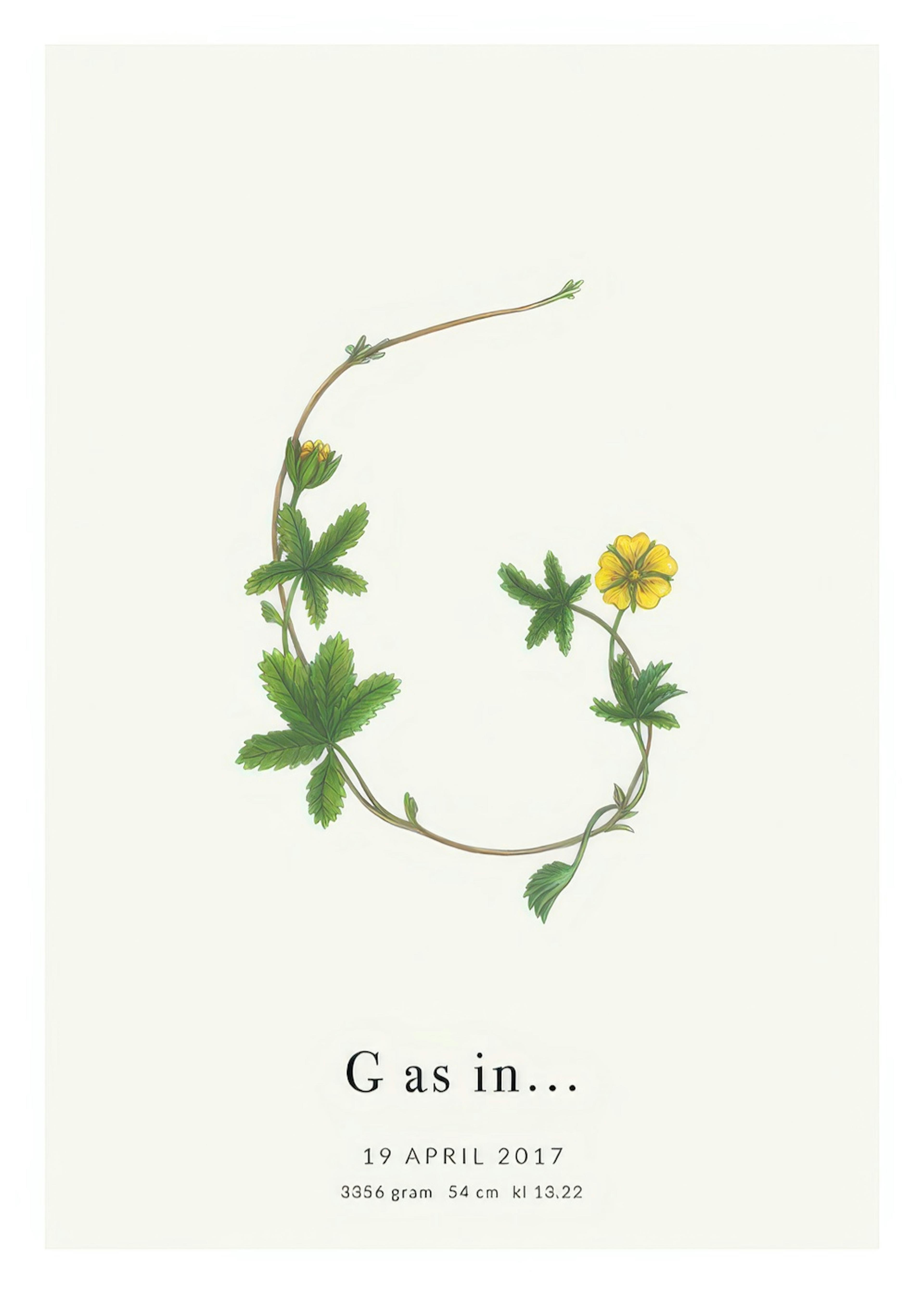 Botanic Letter G Personal Juliste 0