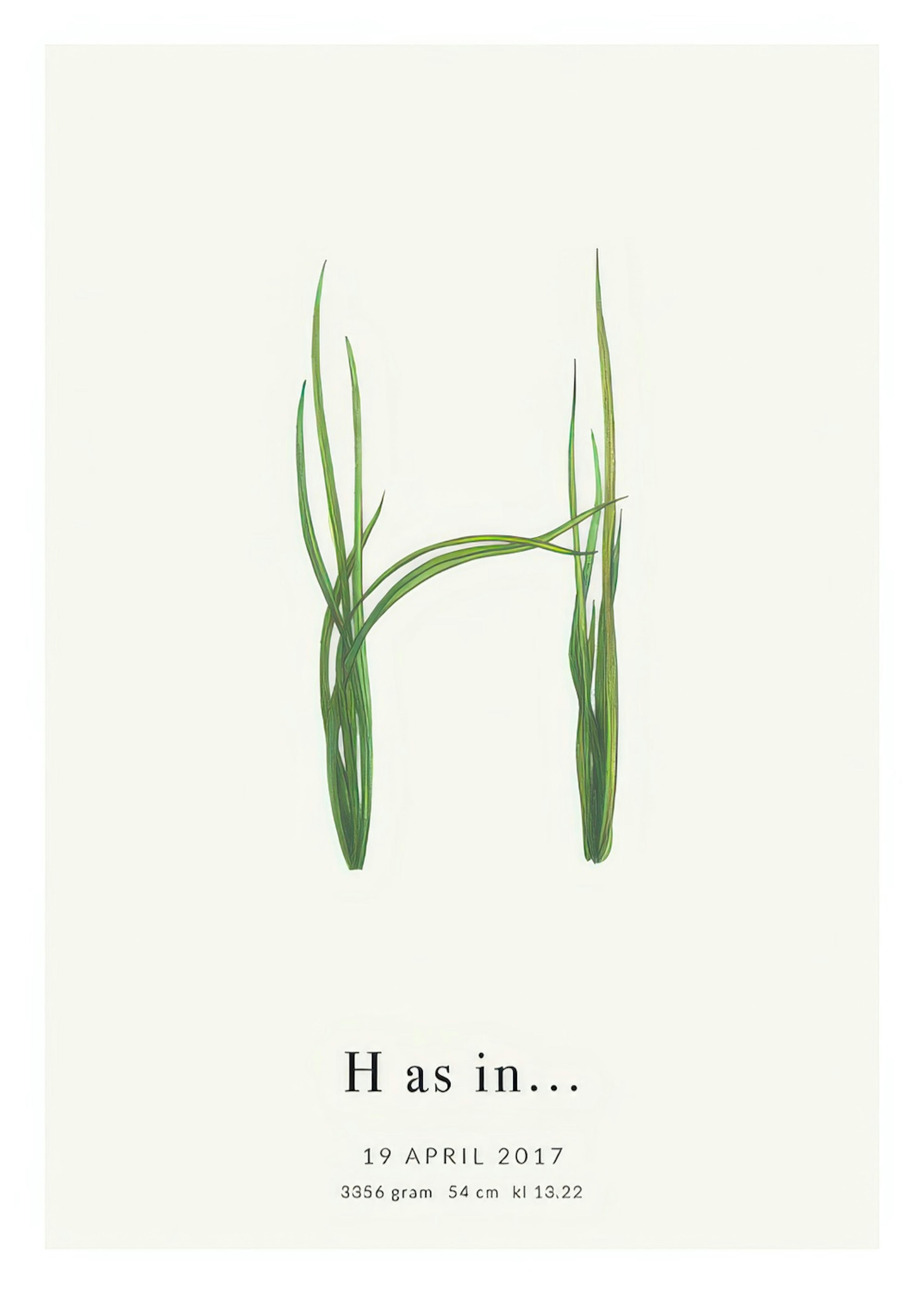 Botanic Letter H Personal Juliste 0
