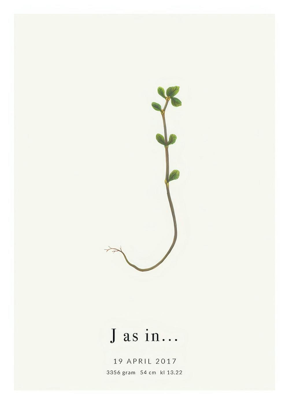 Botanisches Poster: Buchstabe J, geformt aus einer Pflanze mit Blättern und Stamm auf beigem Hintergrund, mit Text.