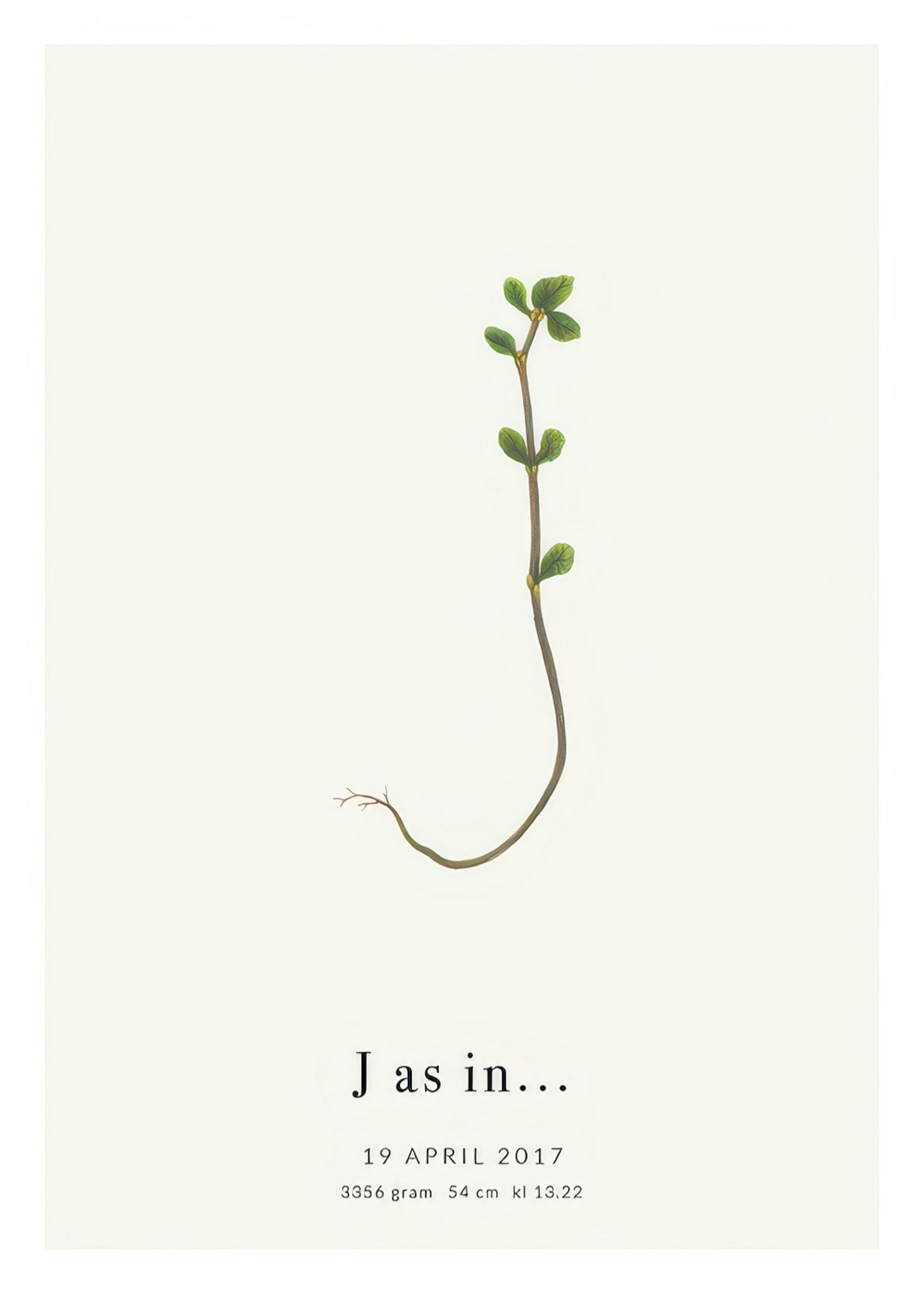 Botanic Letter J Personal Juliste 0