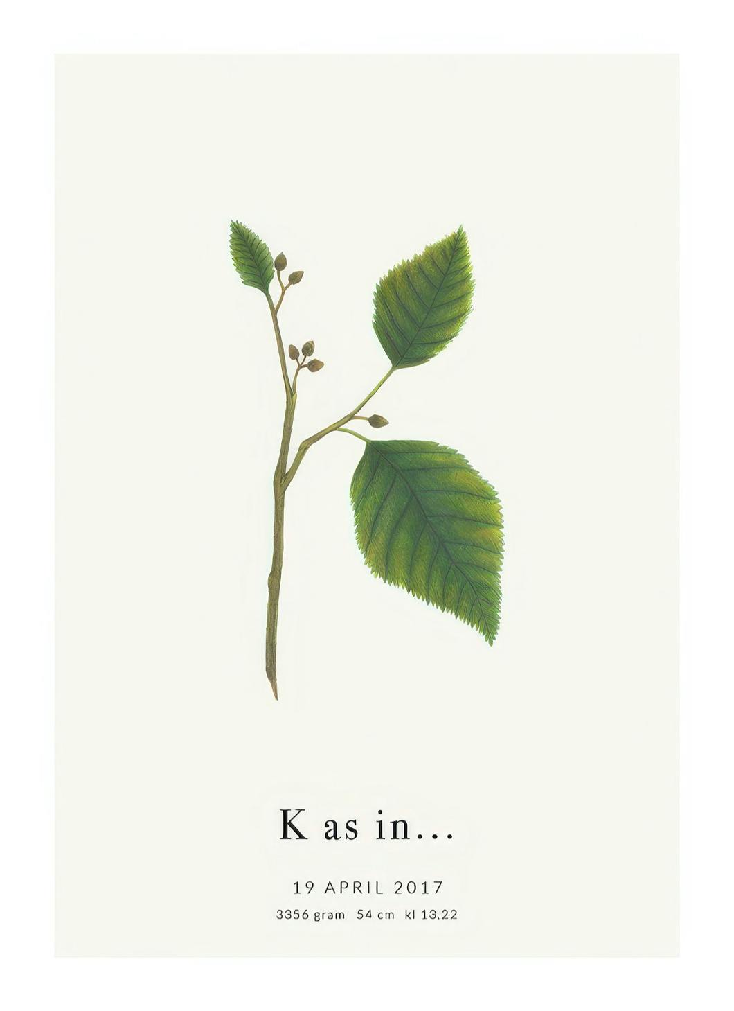Botanic Letter K Personal Plakat (30x40 cm) - Plakater > Personlige posters