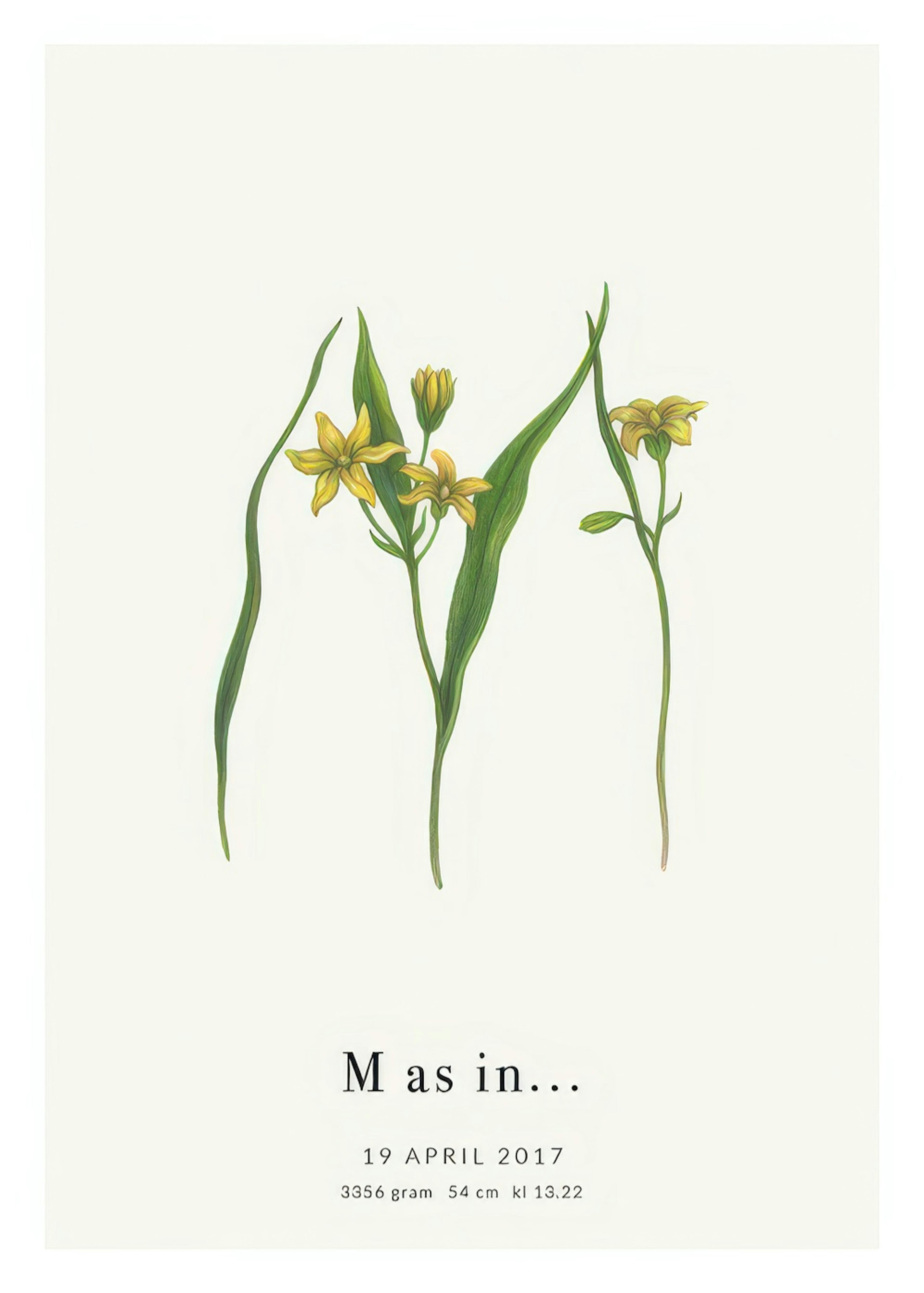 Botanic Letter M Personal Juliste 0