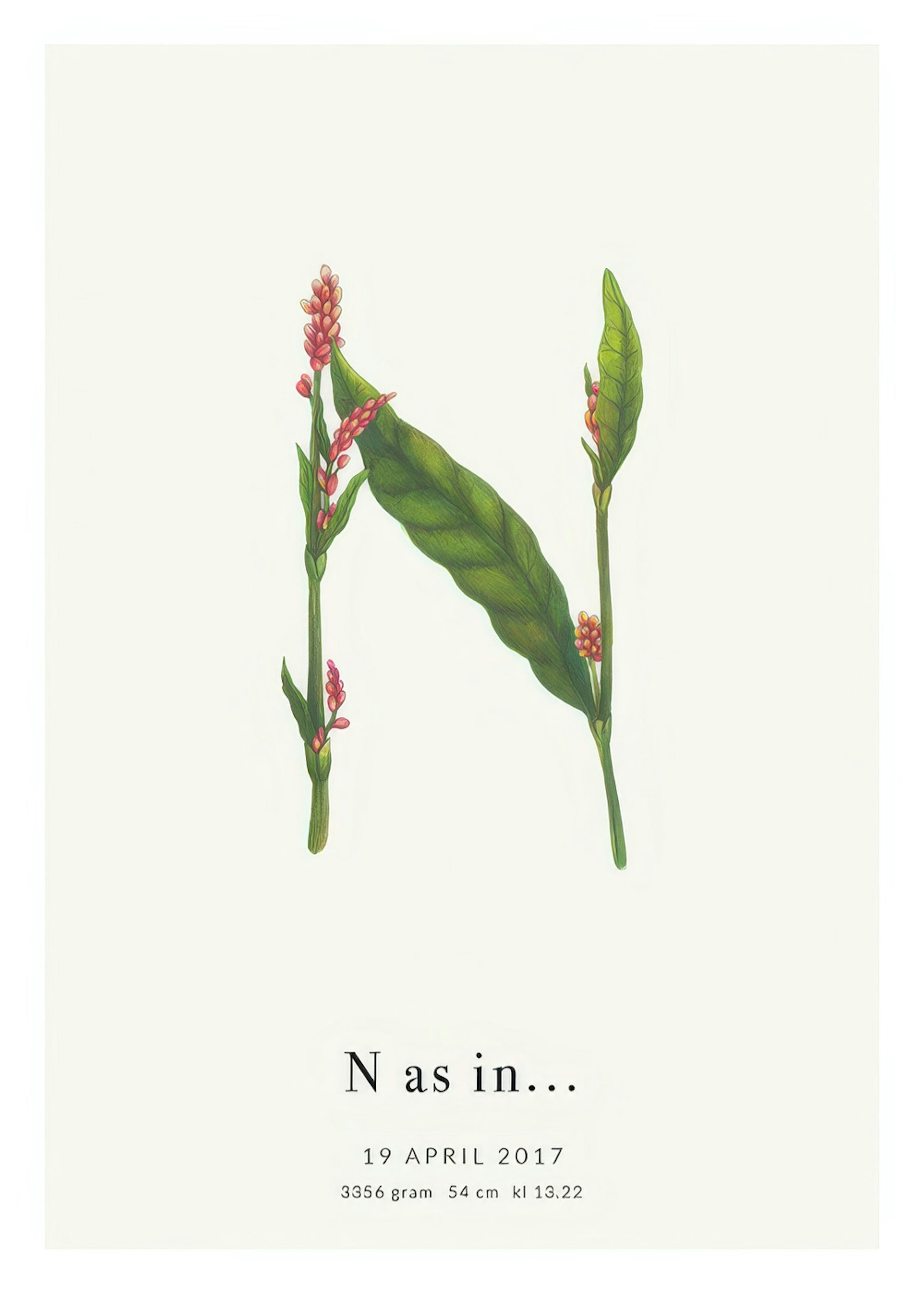 Botanic Letter N Personal Juliste 0
